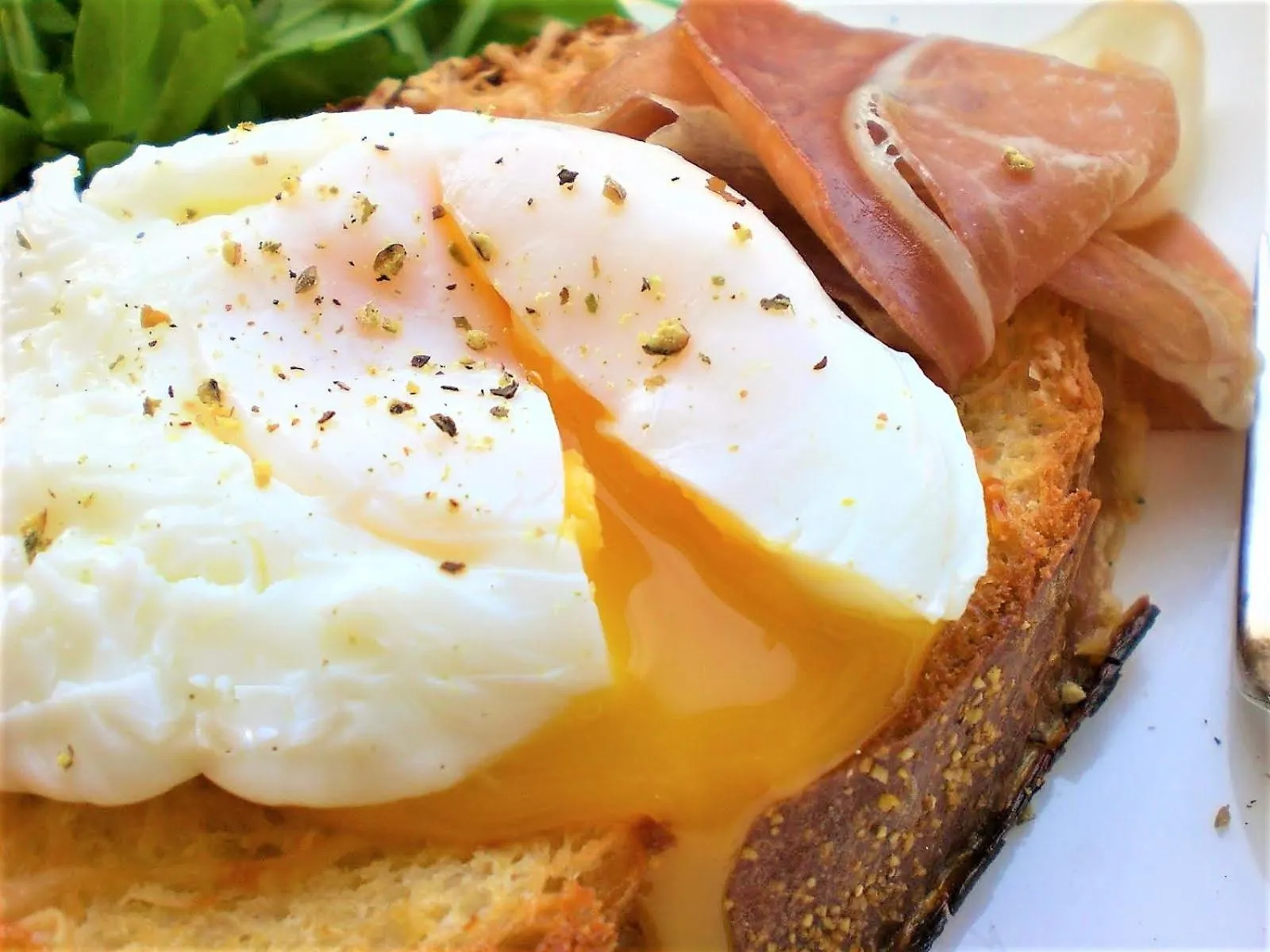 Breakfast in Tree of Life Art Hotel