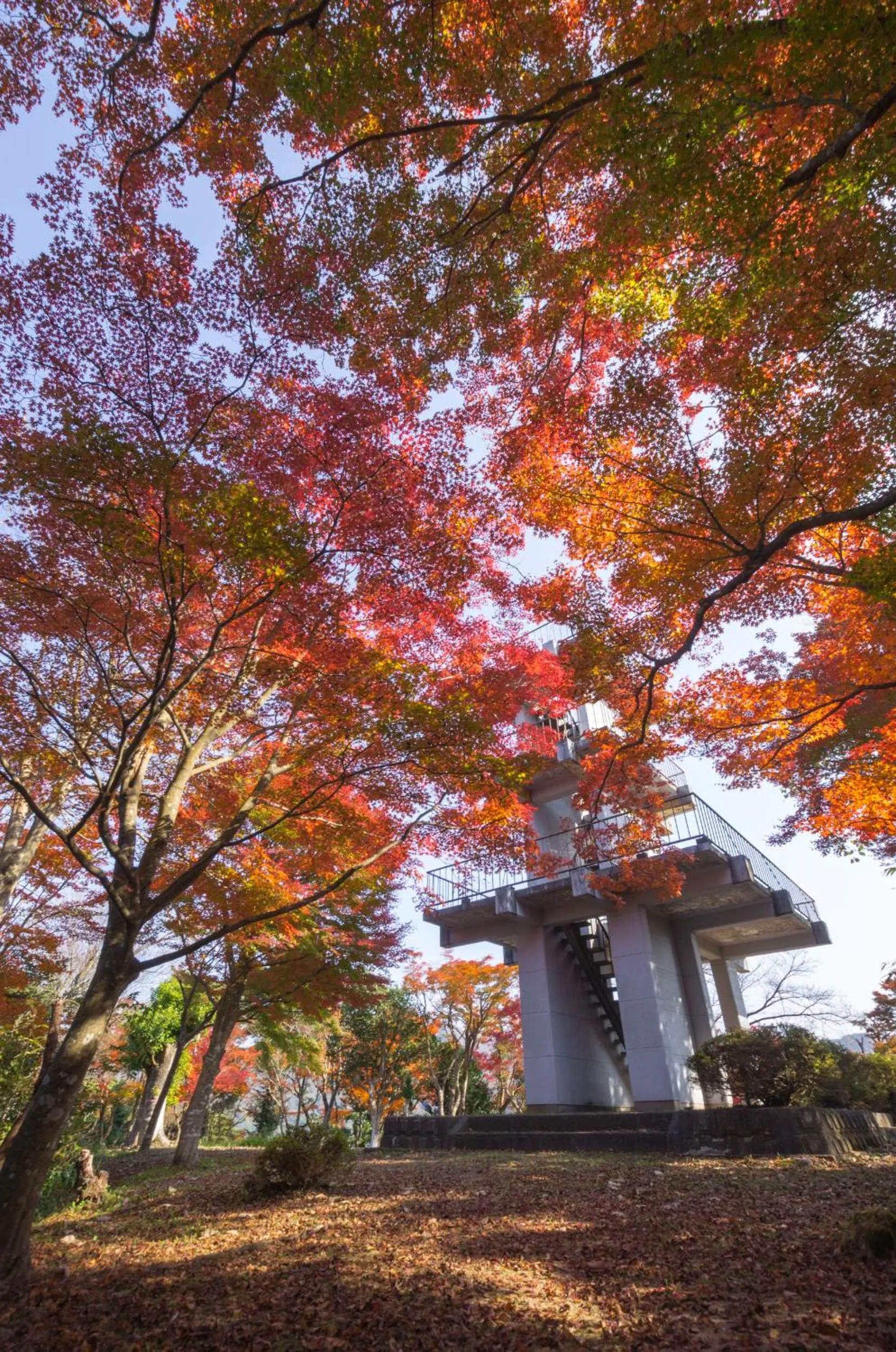 Natural landscape in Asagiriso