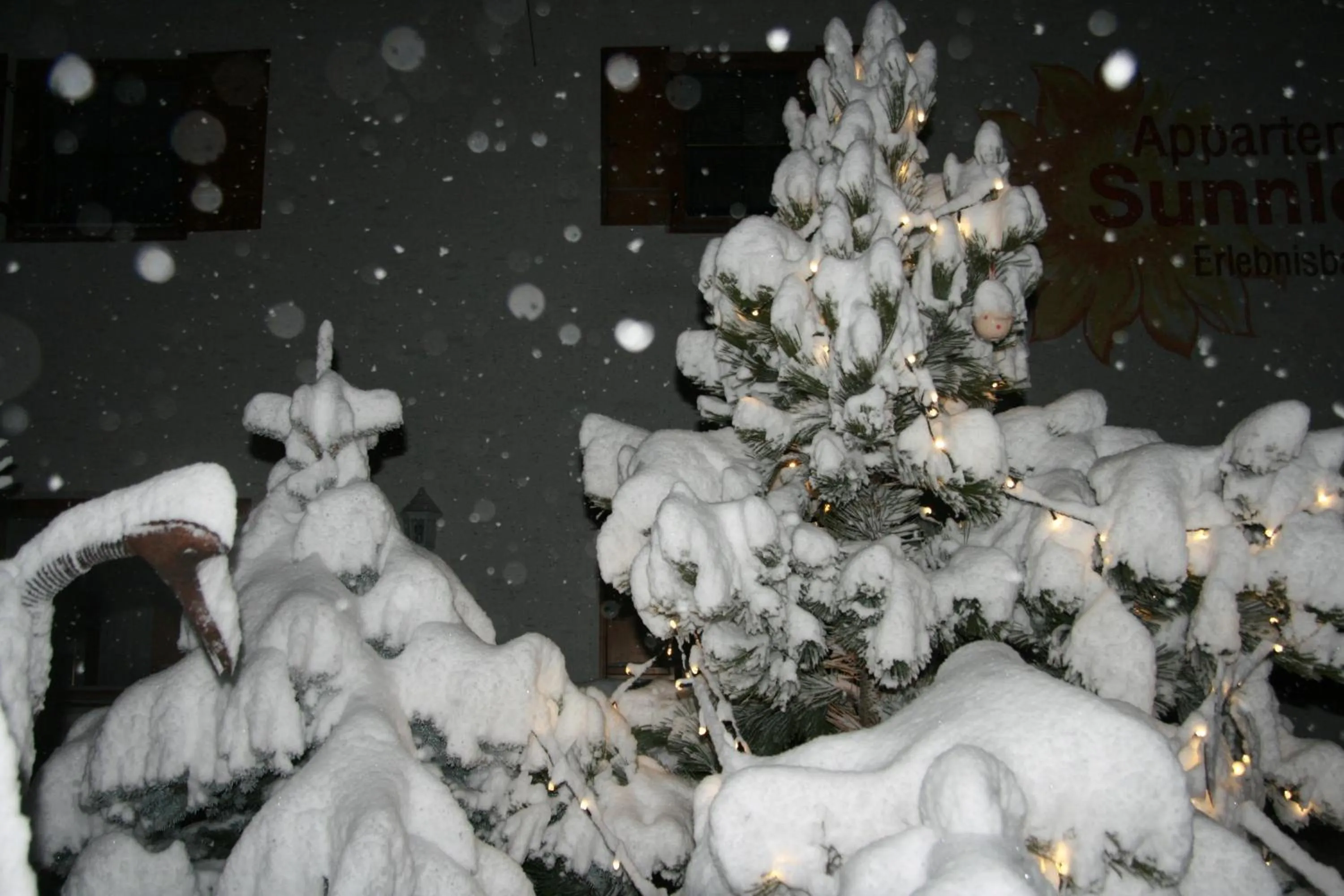 Appartement Sunnleitn