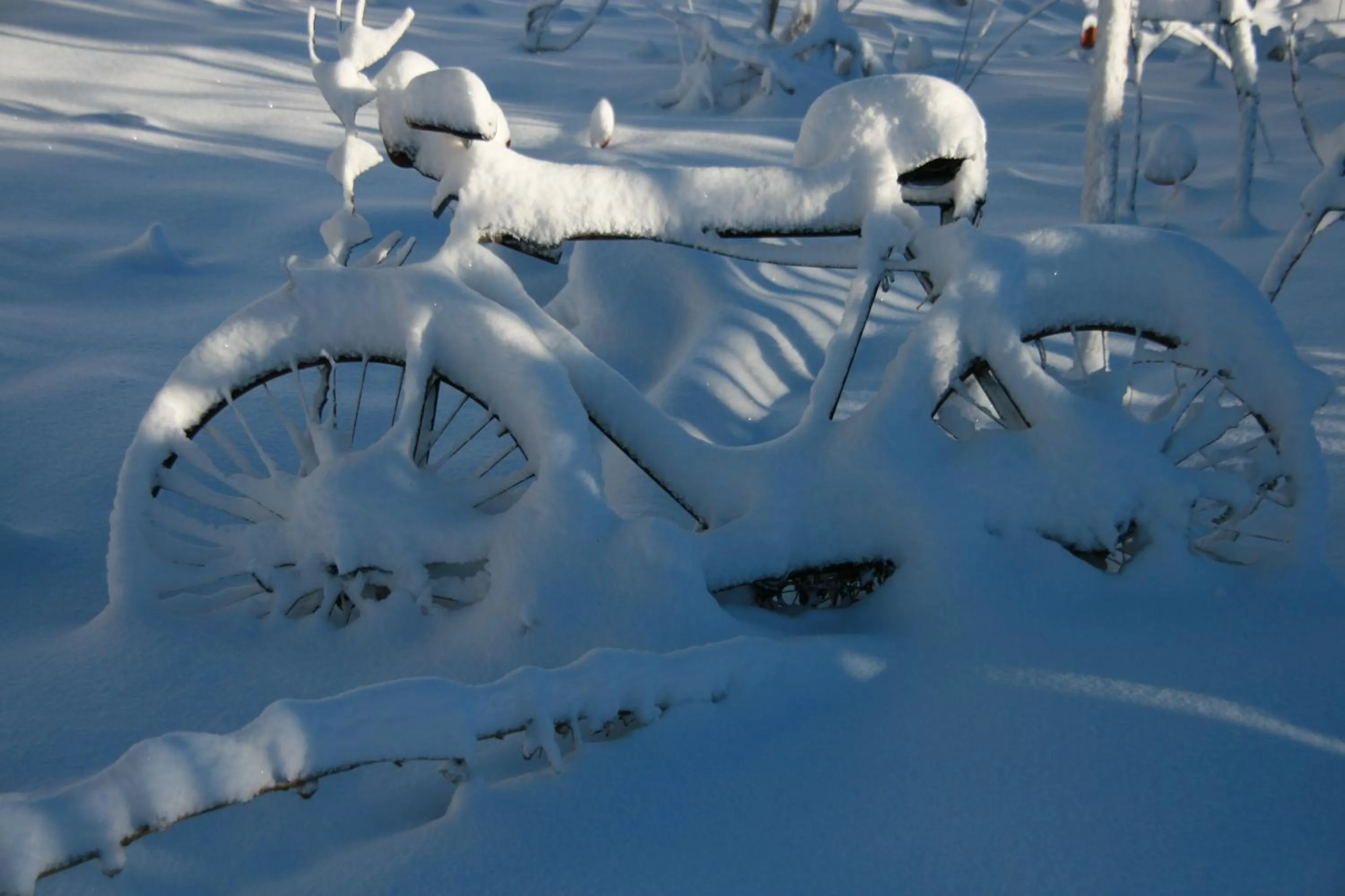 Appartement Sunnleitn