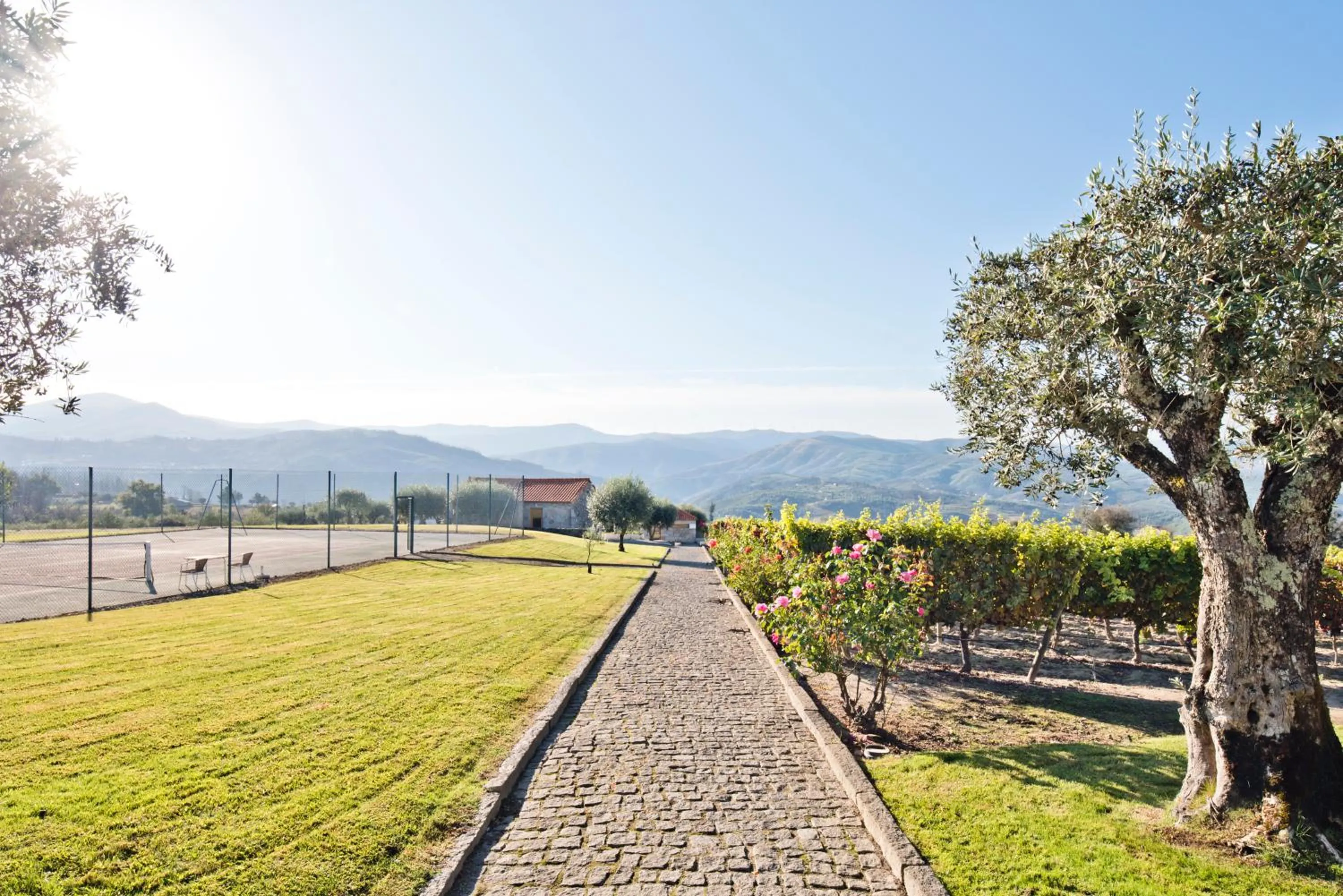 Garden in Lam Hotel Convento do Desagravo