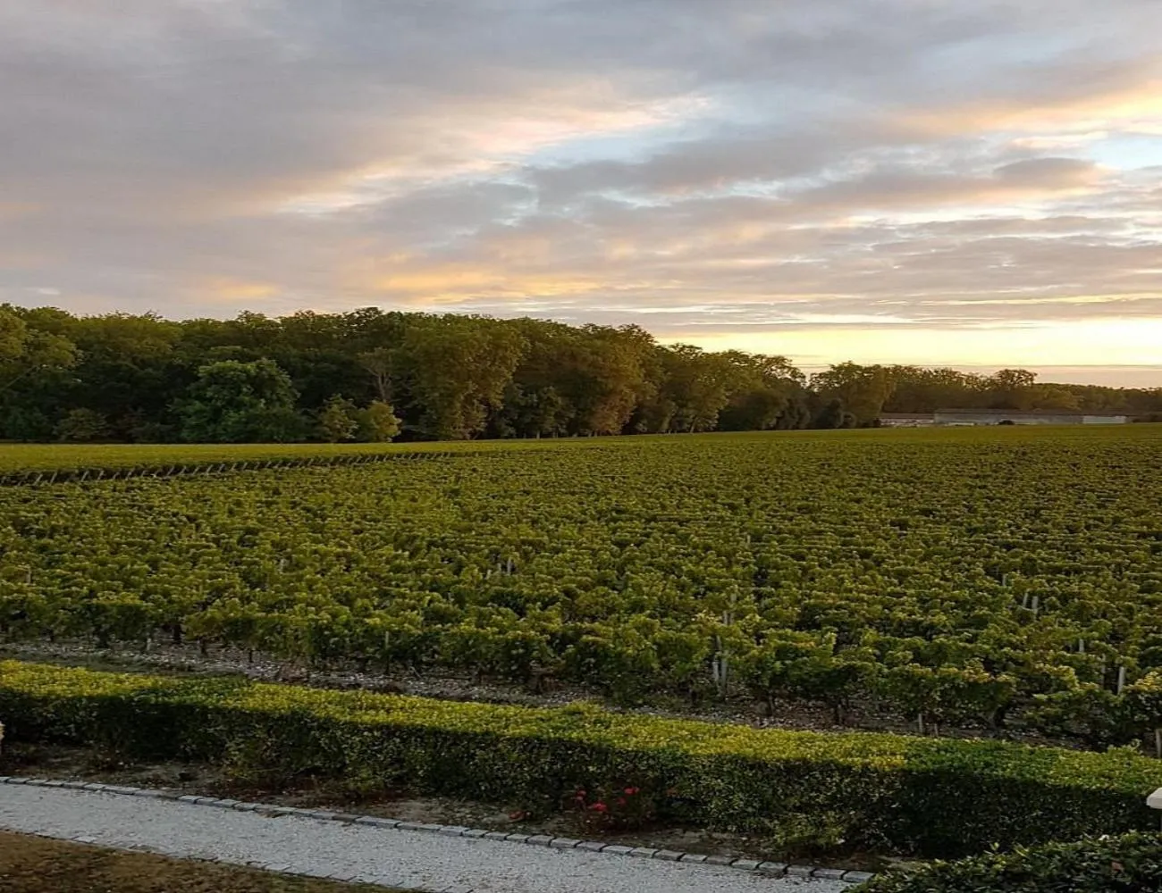 Sunset in Hôtel de Margaux