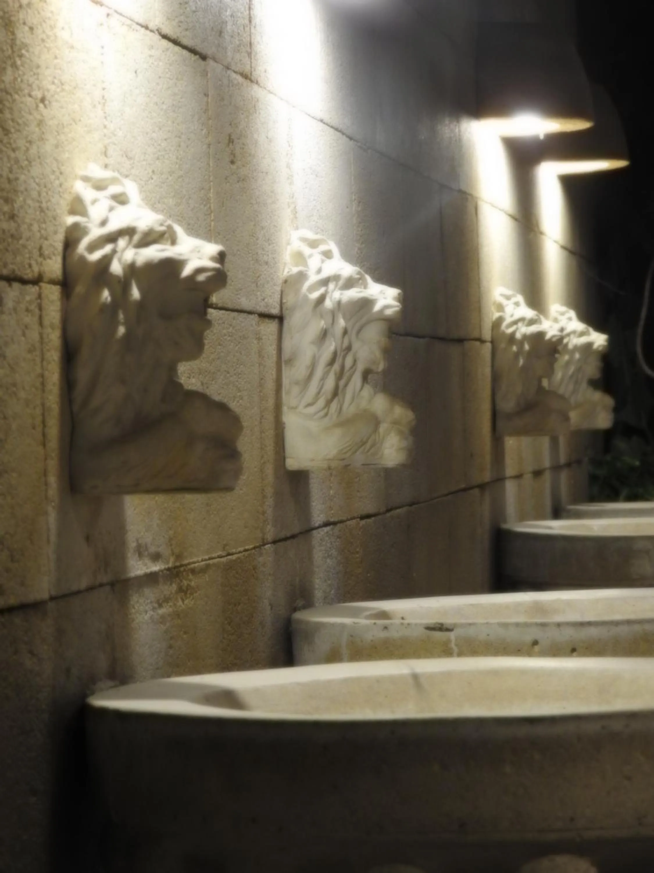 Garden in Nikos Ikies