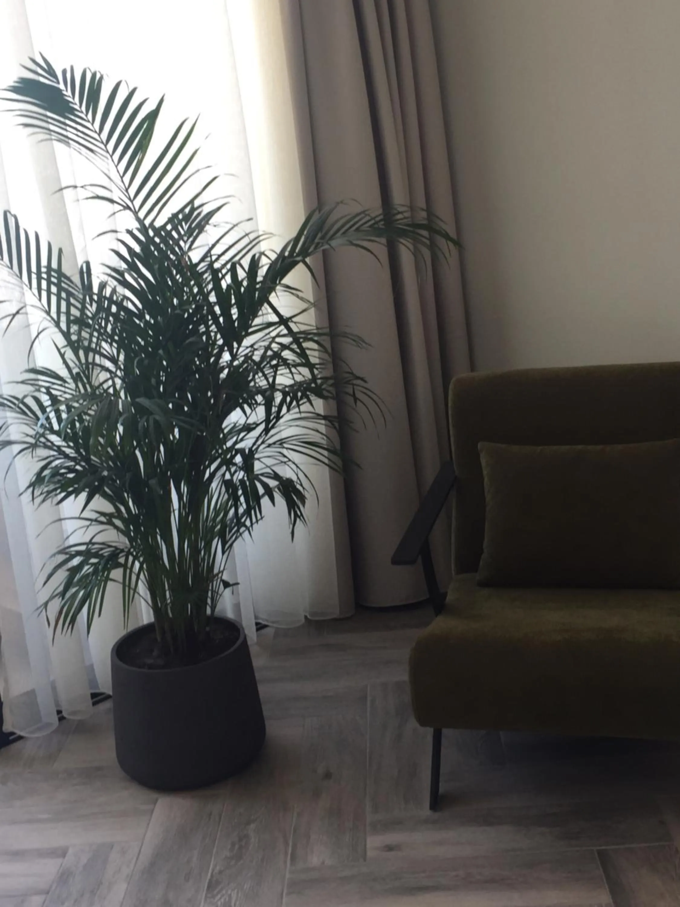 Seating area in Nikos Ikies