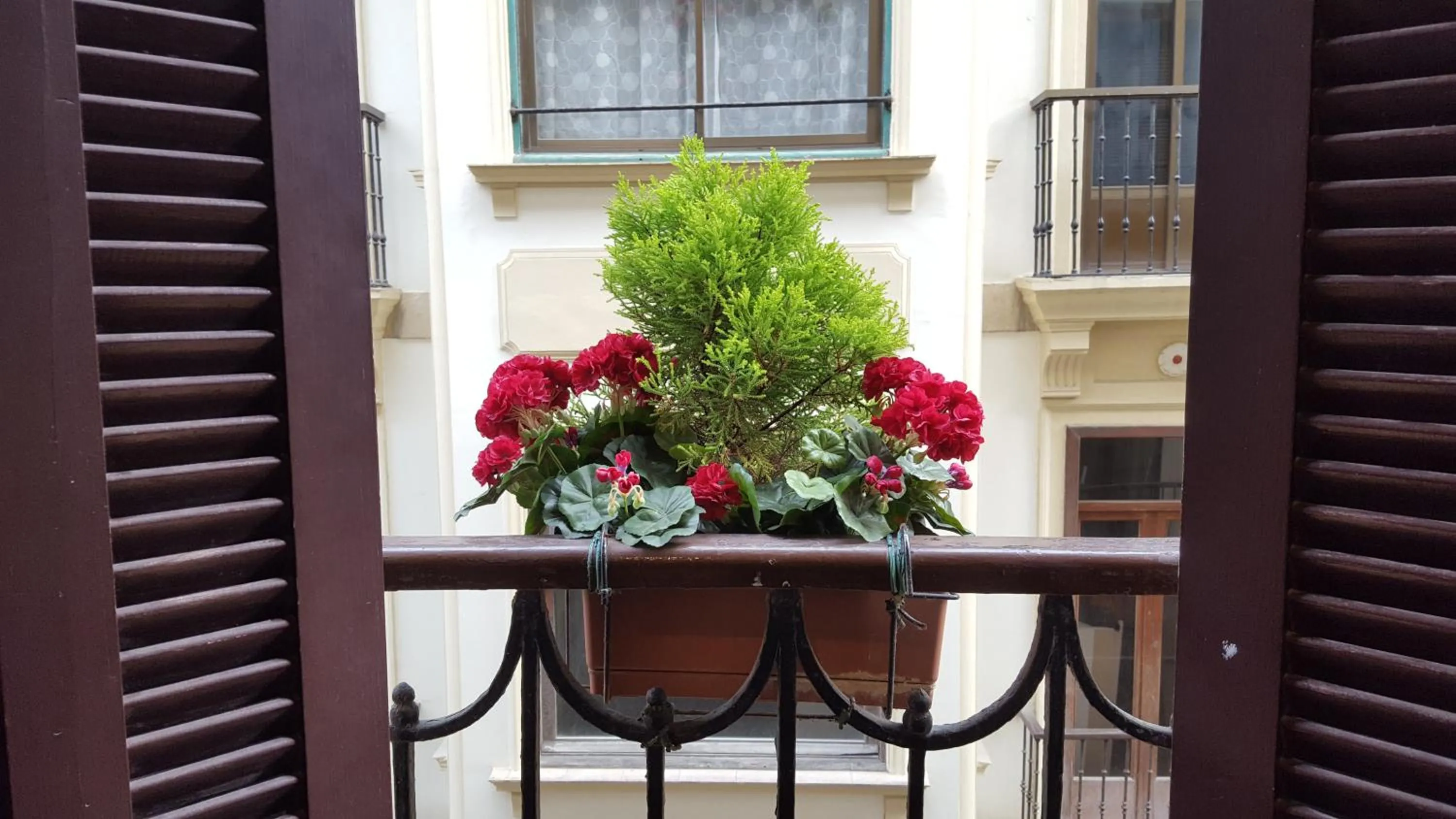 Balcony/Terrace in Pensión San Jerónimo