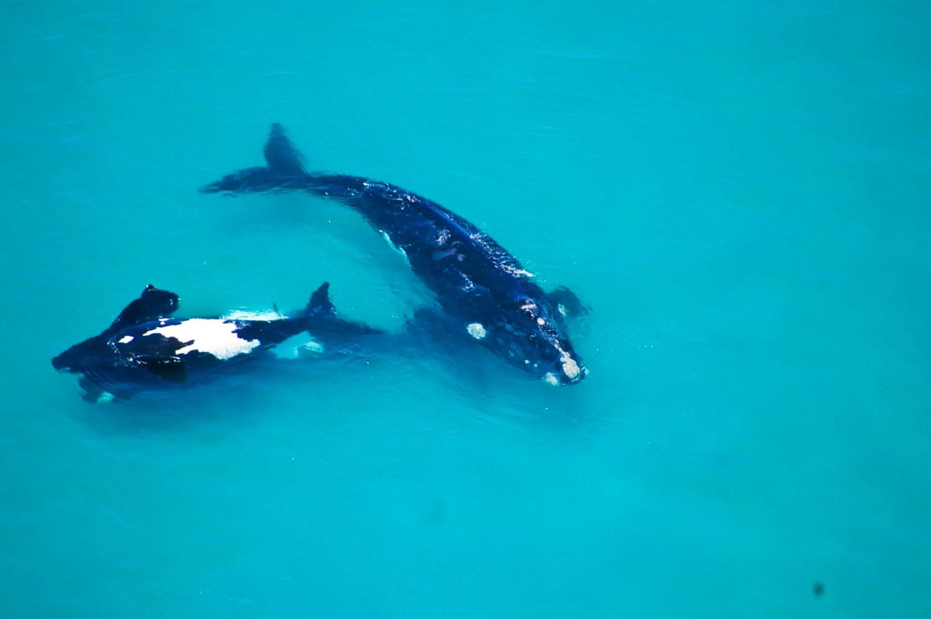 Activities in Schulphoek Seafront House