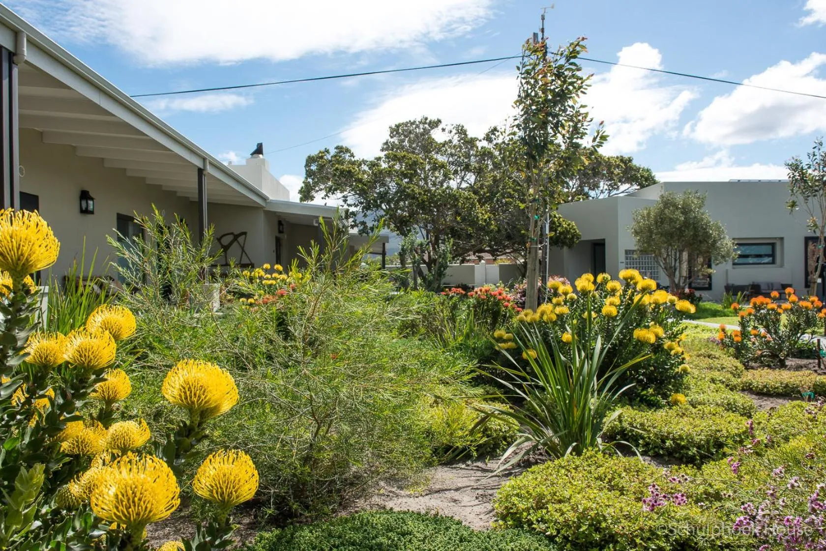 Garden in Schulphoek Seafront House