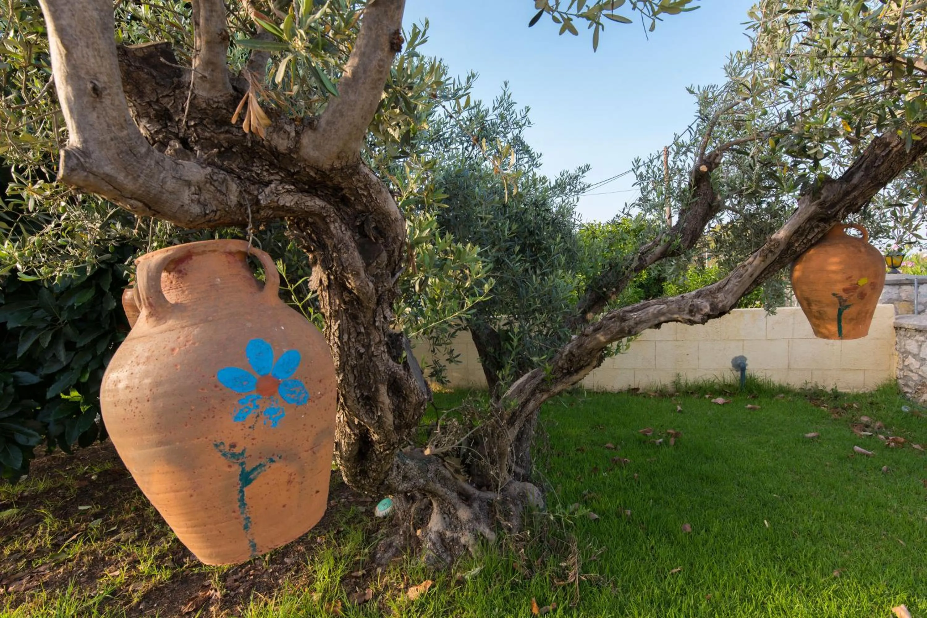 Other in Georgia Plus - All Inclusive