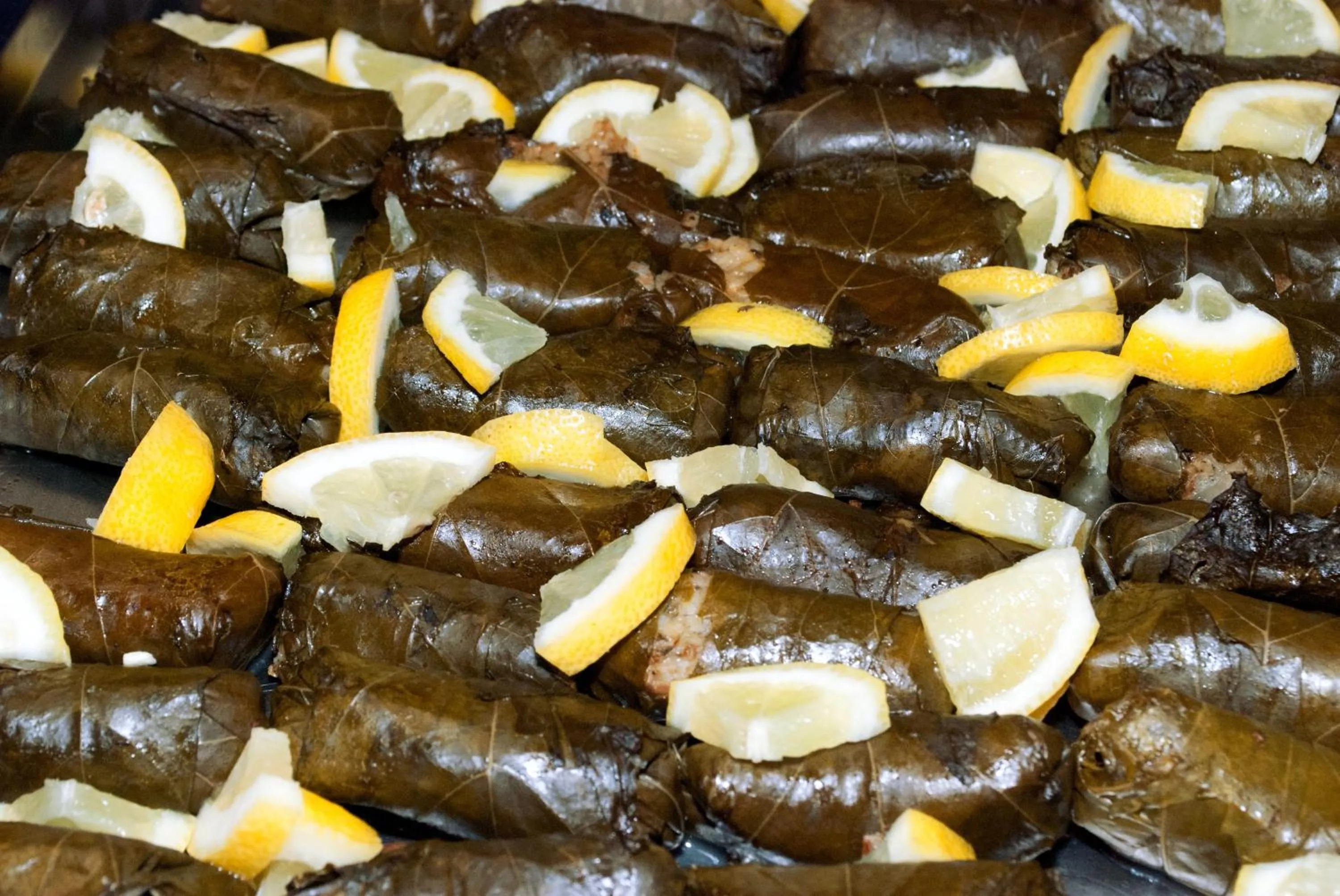 Food close-up in Georgia Plus - All Inclusive