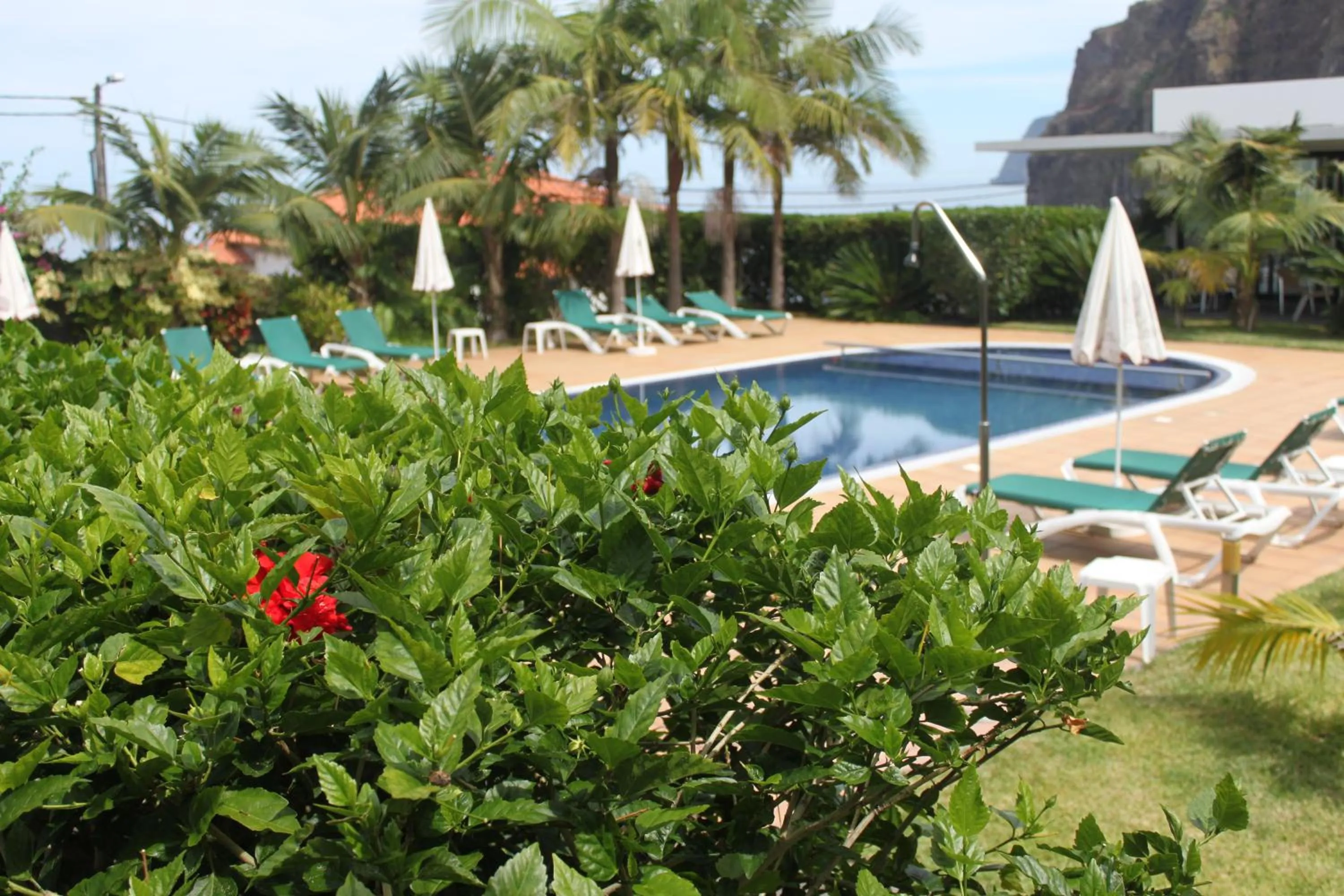 Garden in Casa da Capelinha