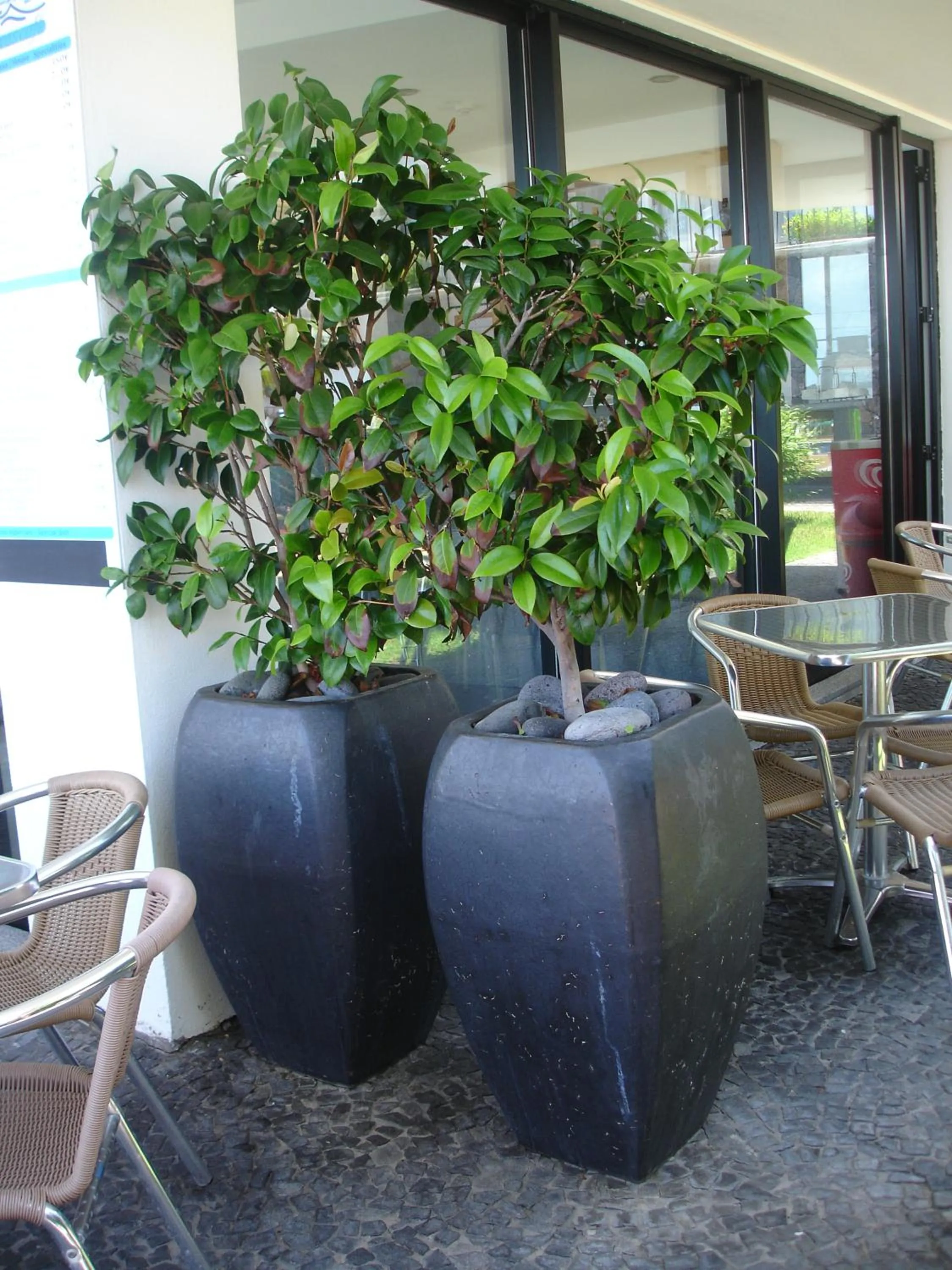 Restaurant/places to eat in Casa da Capelinha