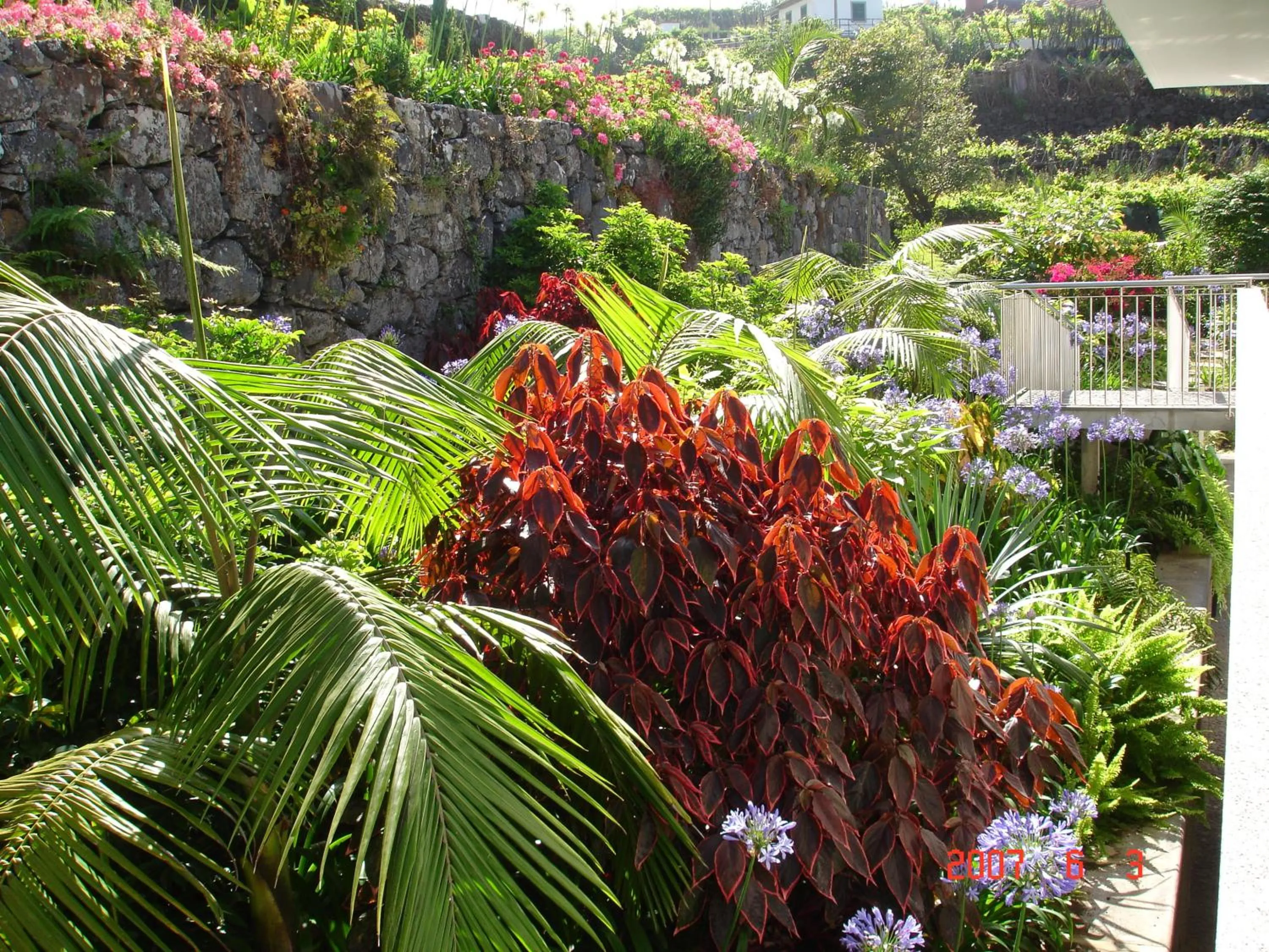 Garden in Casa da Capelinha