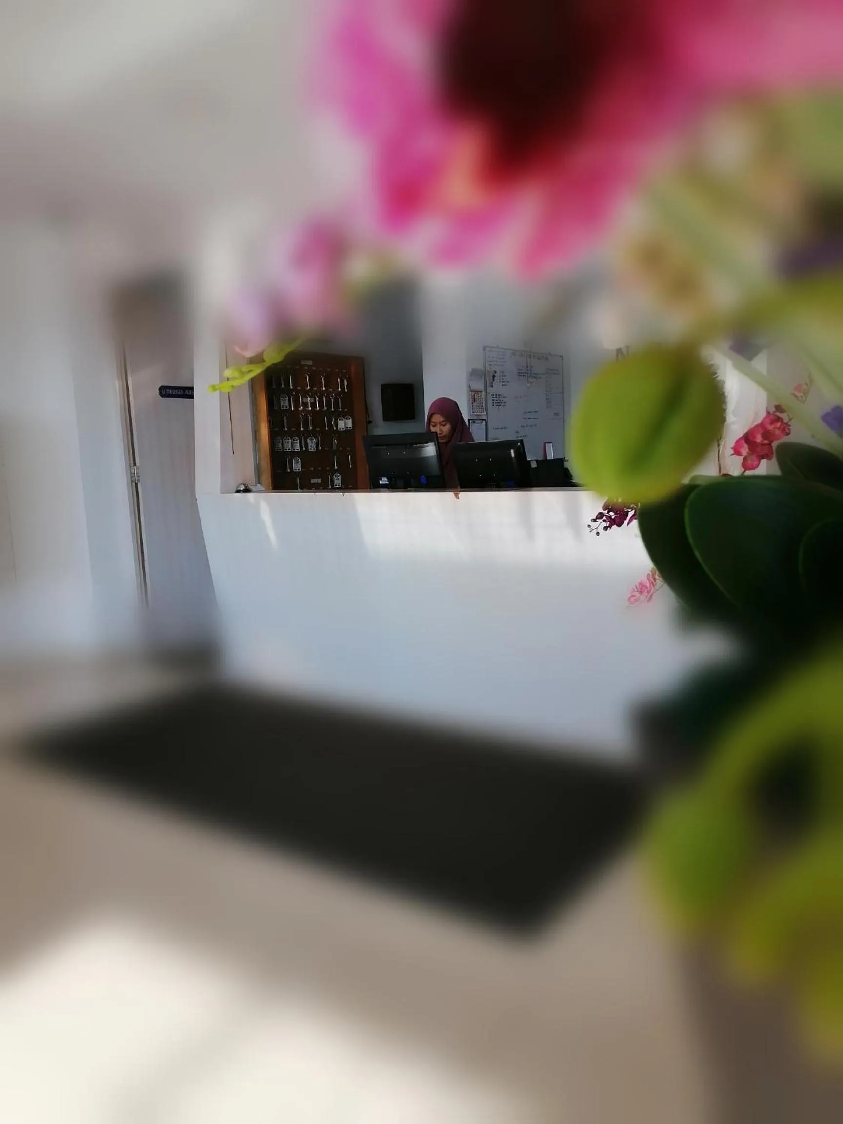 Northern Lodge Hotel