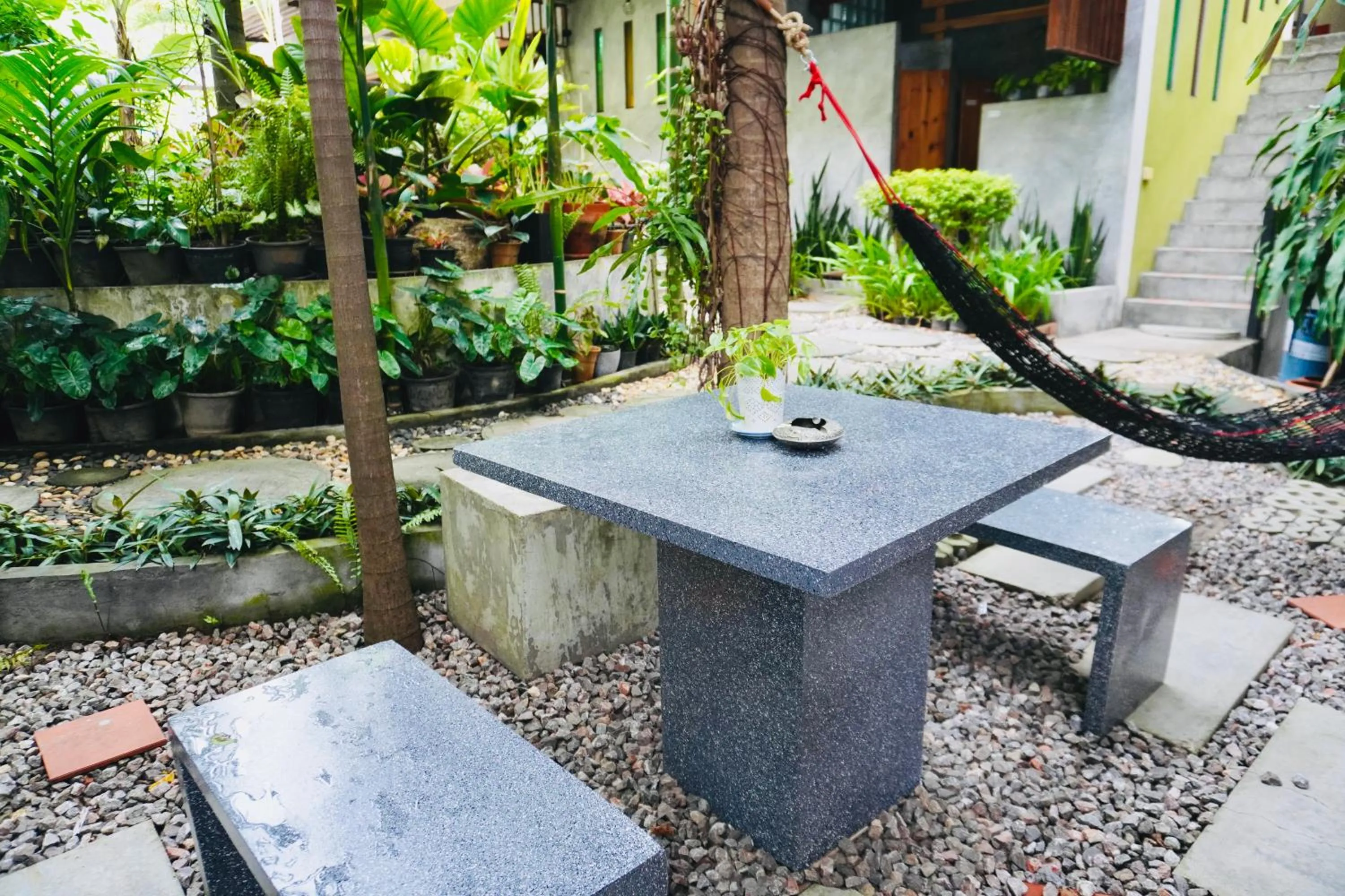 Garden in Blue Wave House