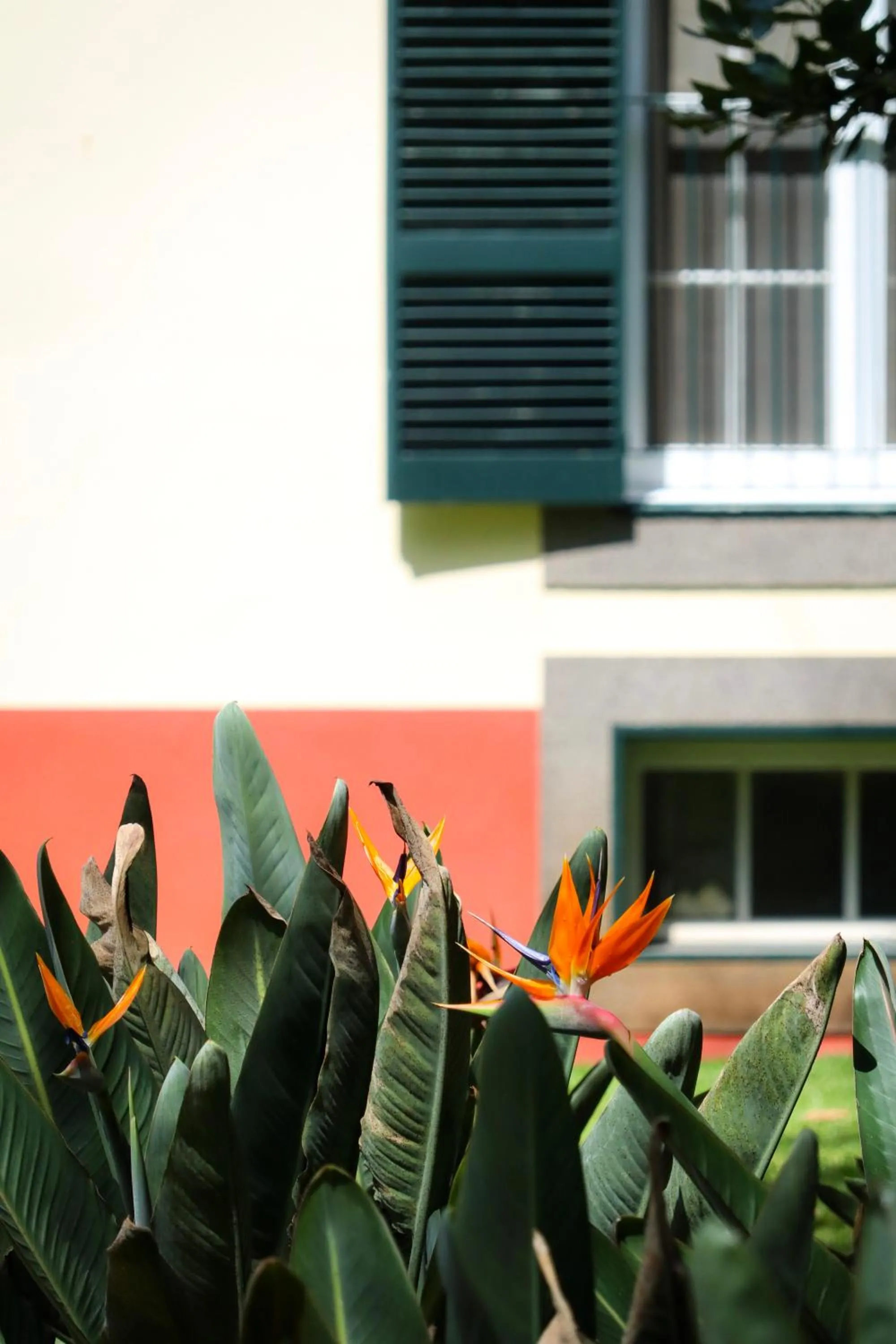 Property building in Quinta da Bela Vista