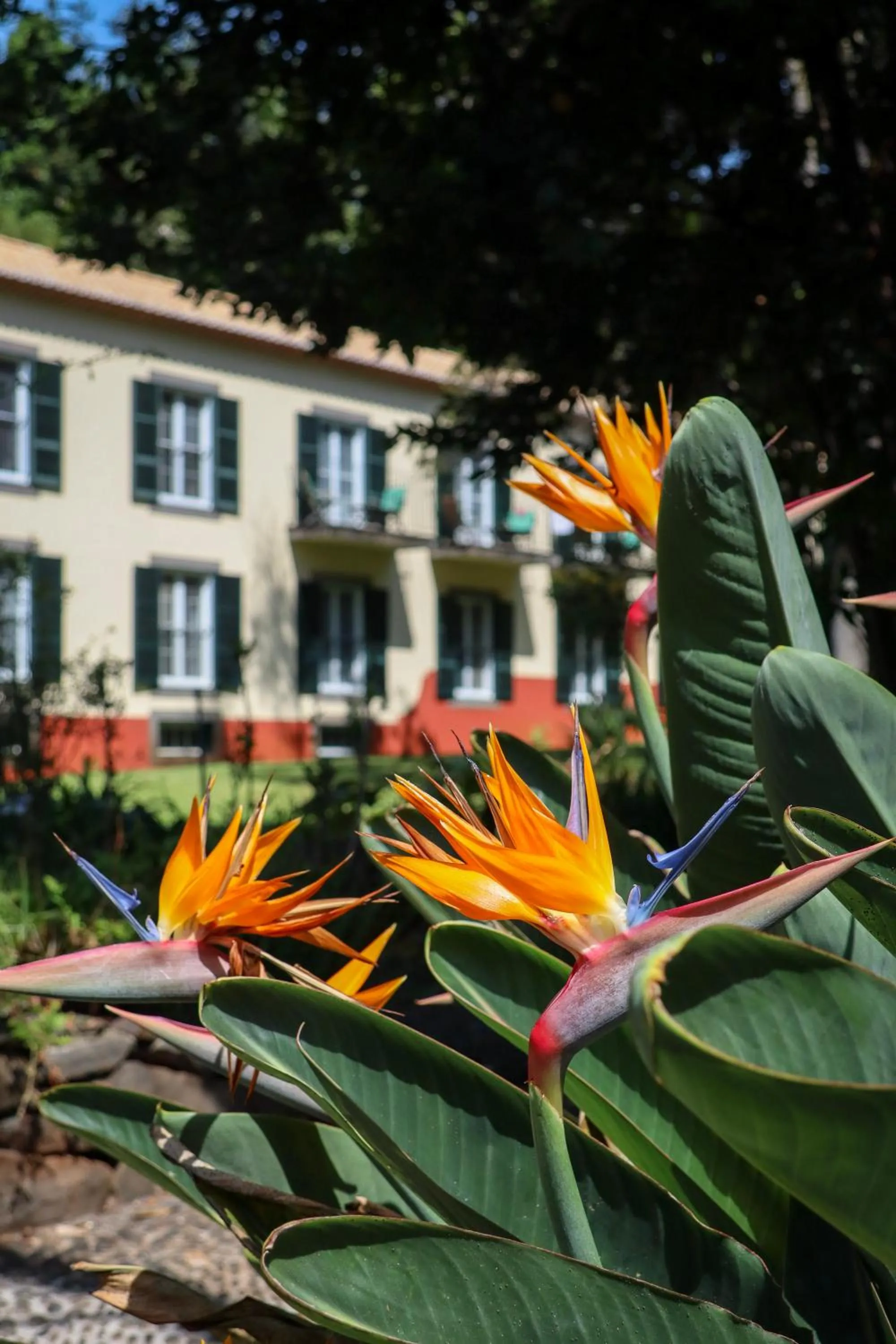 Property building in Quinta da Bela Vista