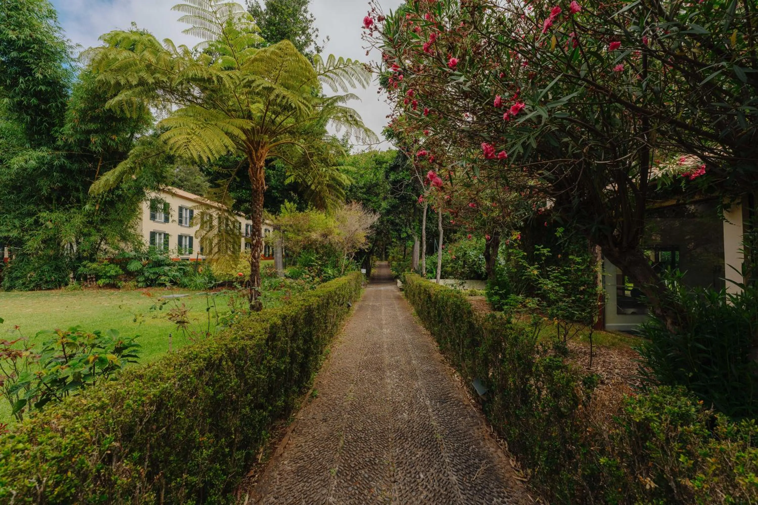 Garden in Quinta da Bela Vista