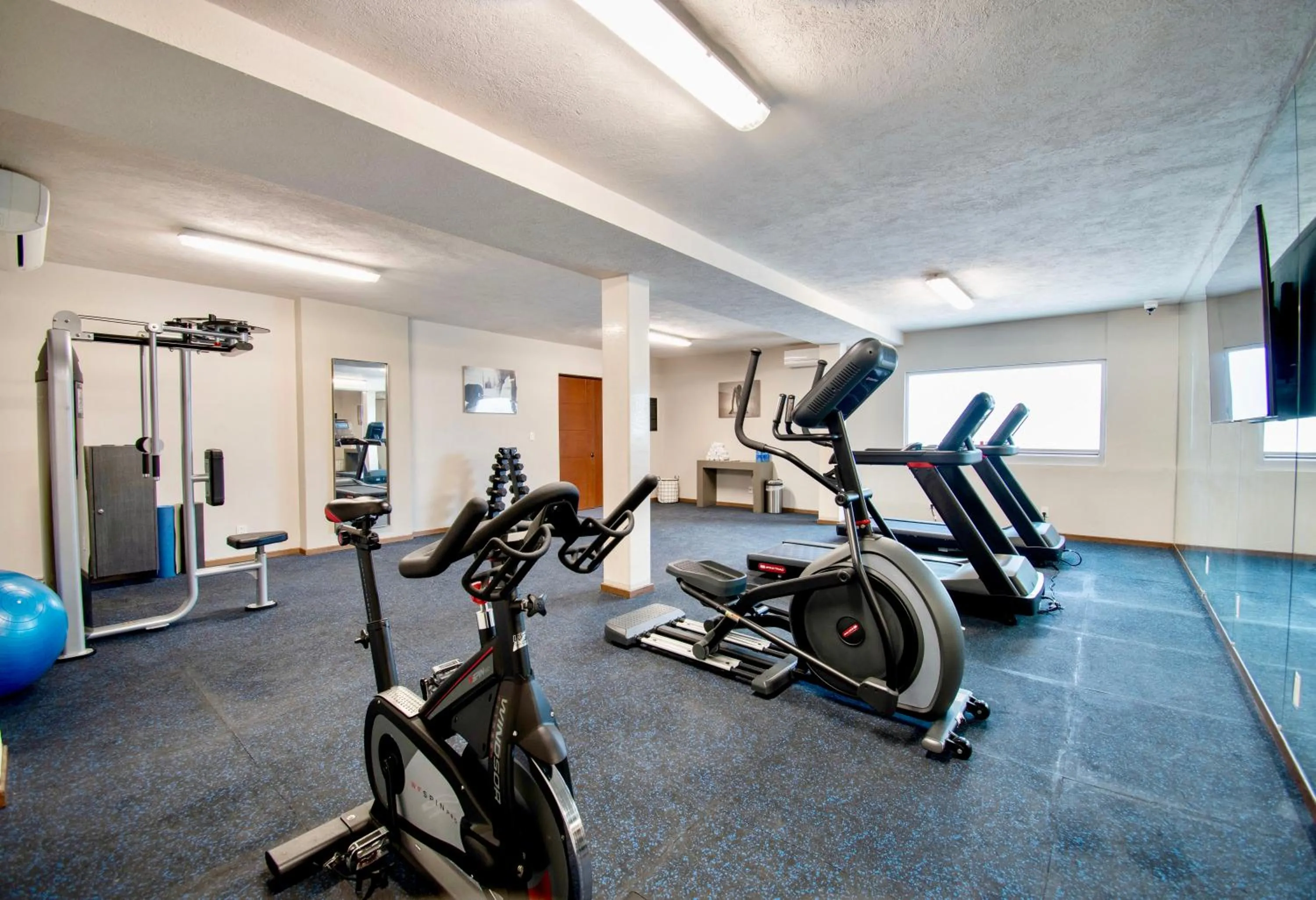 Fitness centre/facilities in Hotel Plaza Diana