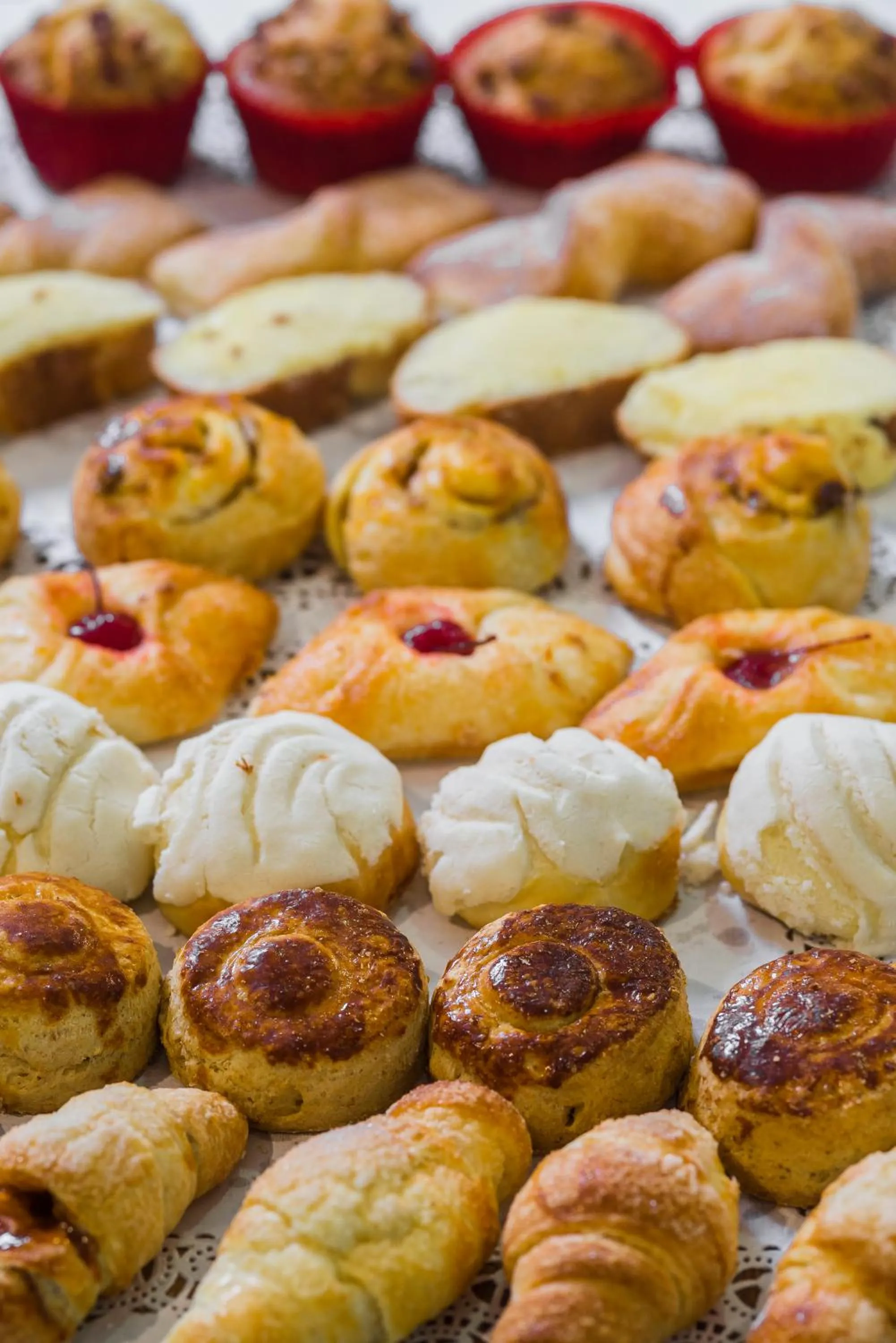 Restaurant/places to eat in Hotel Plaza Diana