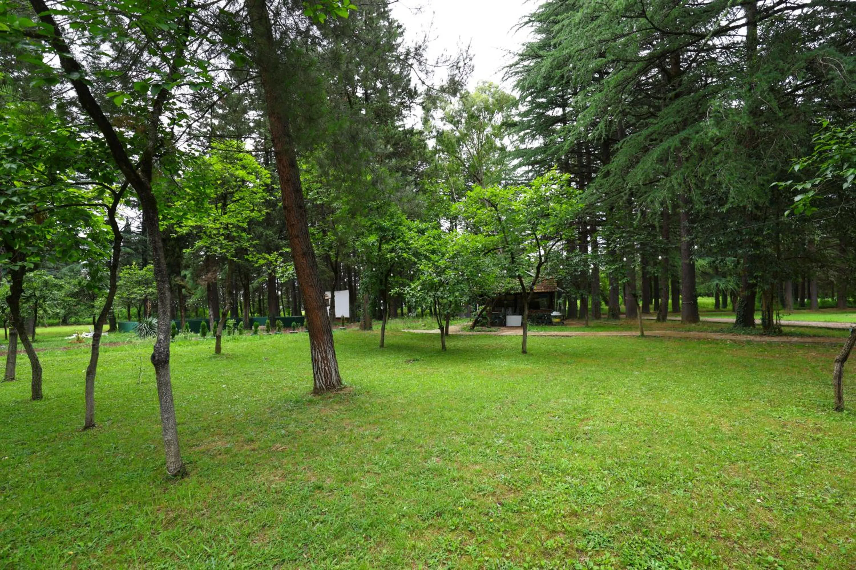 Spring in Park Hotel Imeri kutaisi