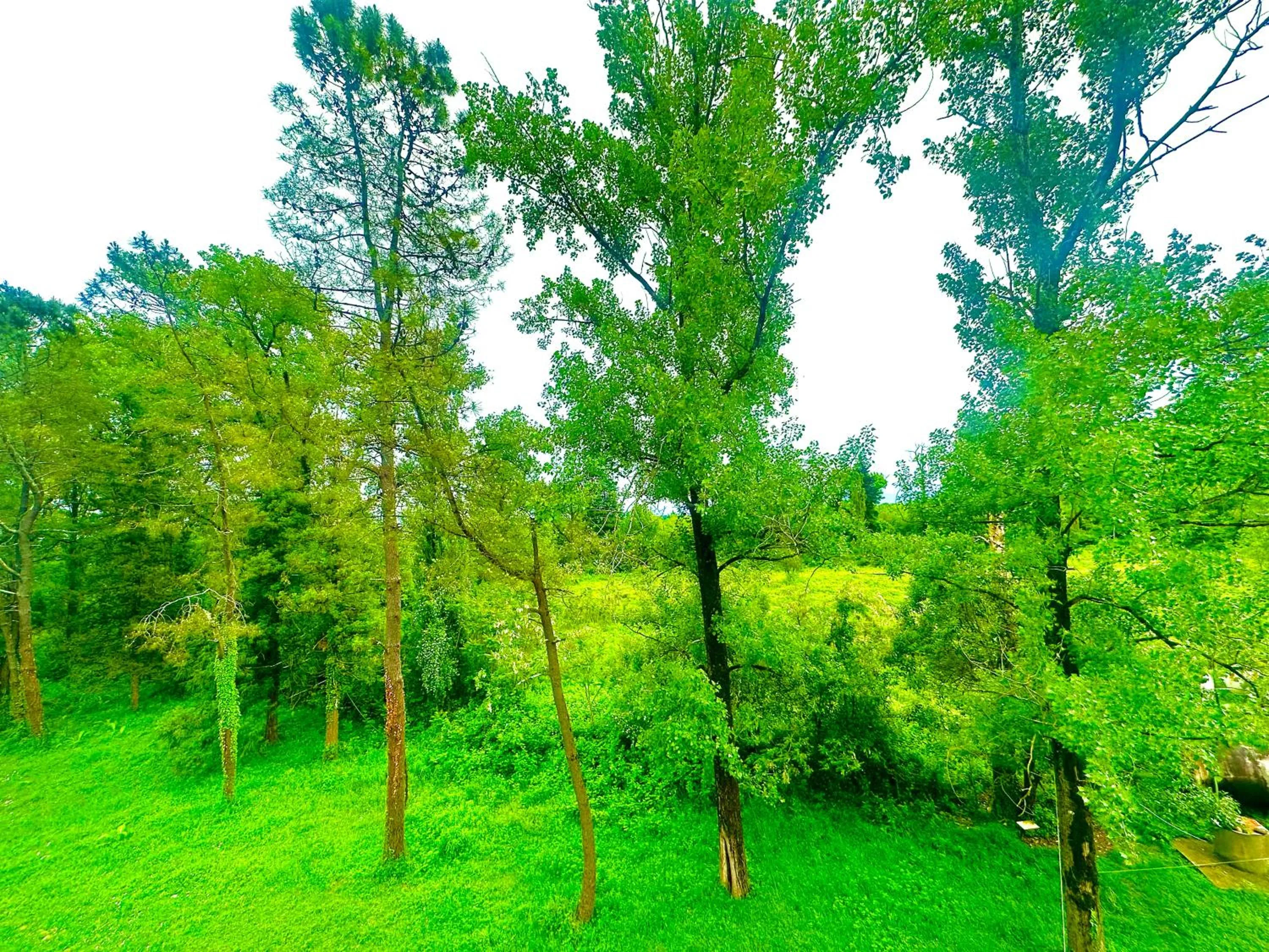 Spring in Park Hotel Imeri kutaisi