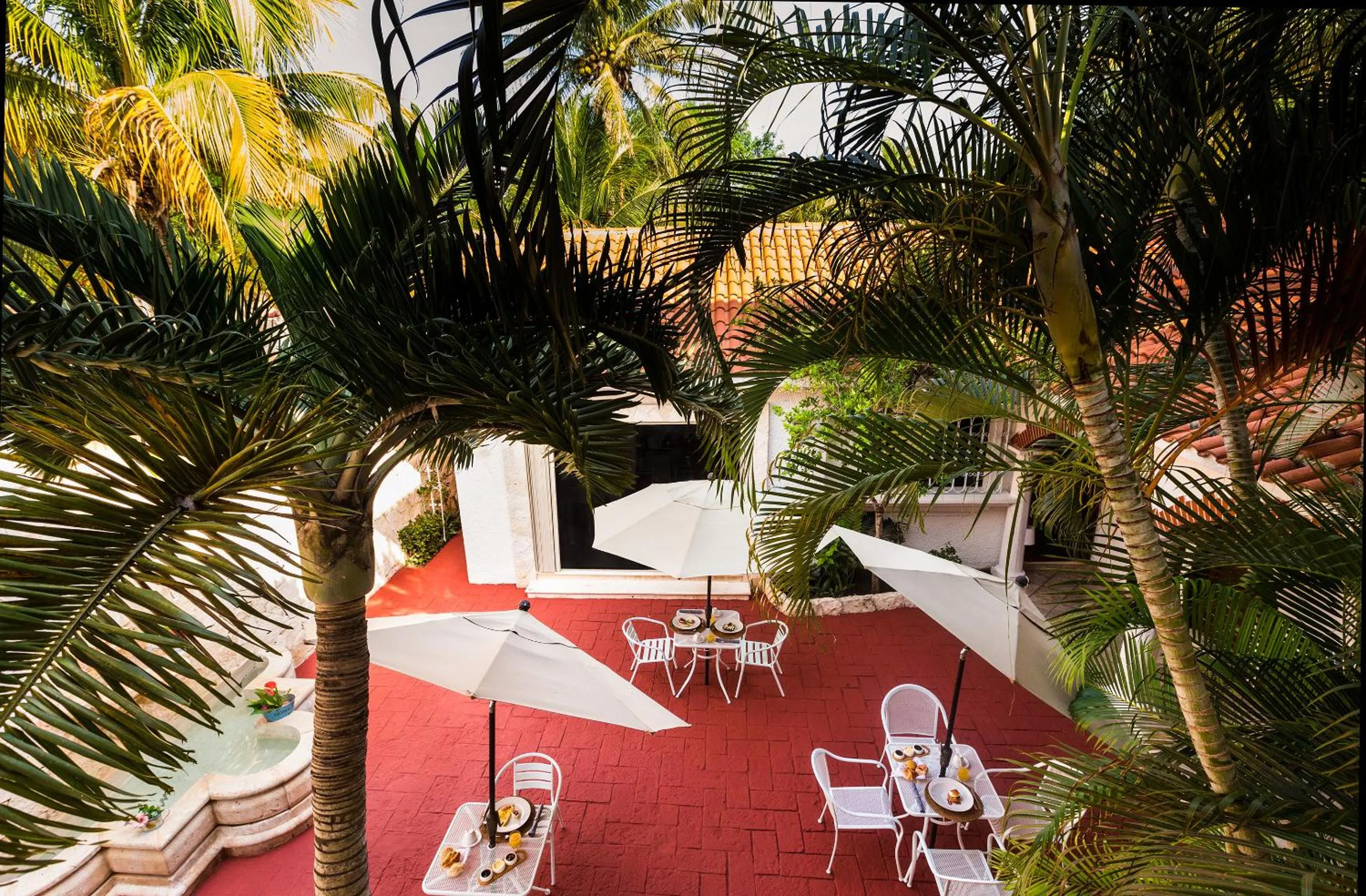 Area and facilities in Chez Waffle Hotel