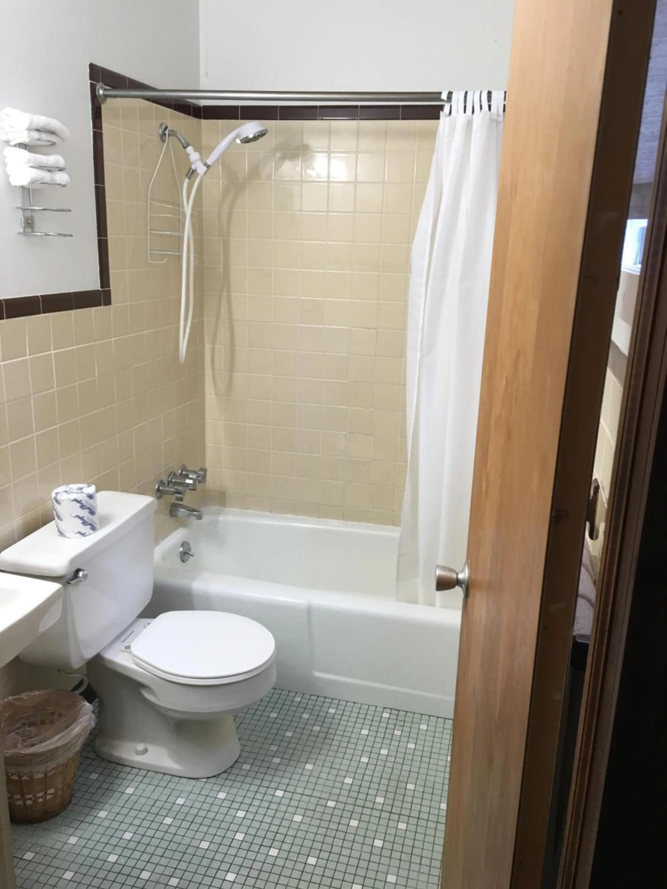 Toilet in Doray Motel Lake George