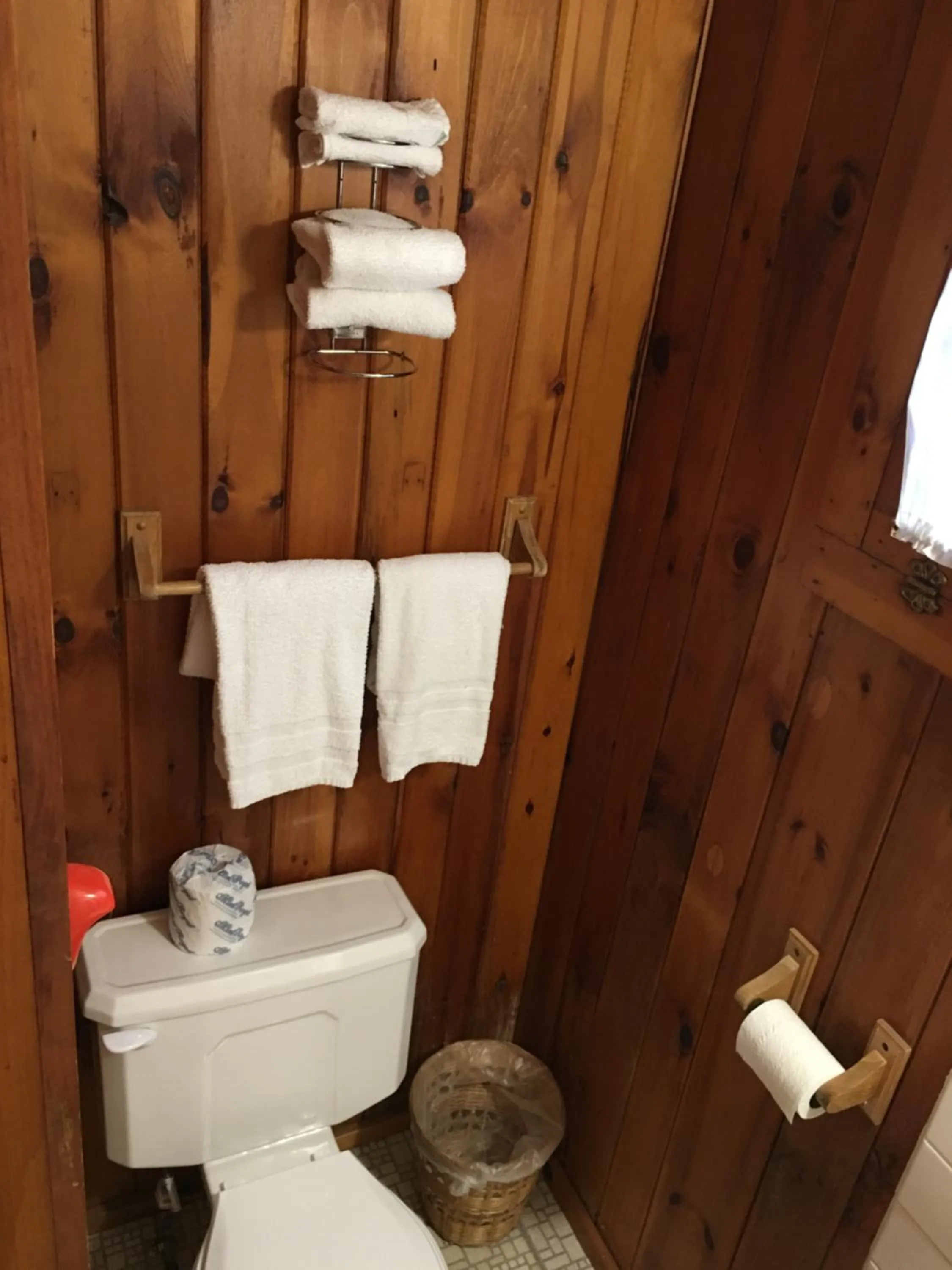 Toilet in Doray Motel Lake George