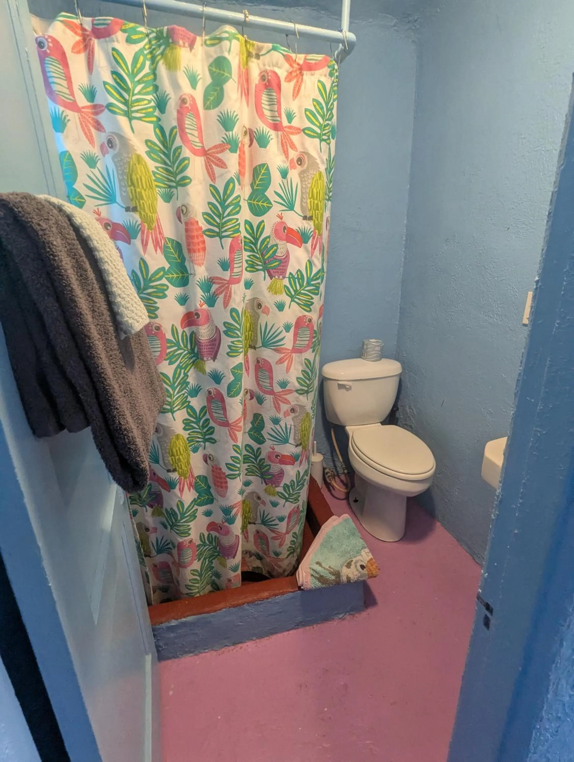 Toilet in Pelican Spa