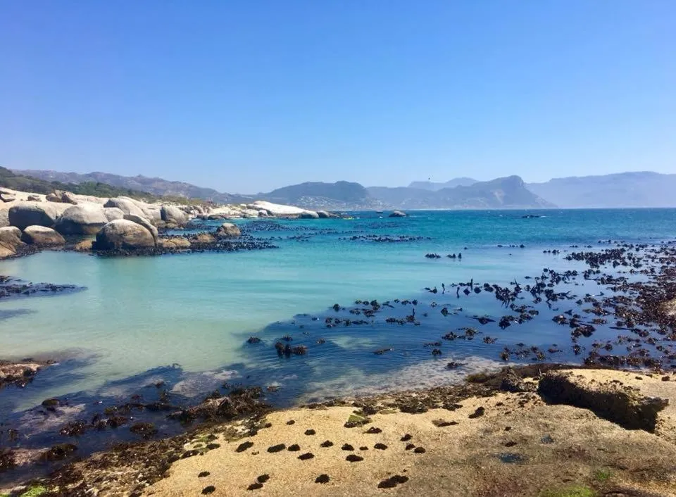 On The Square Luxury Apartment