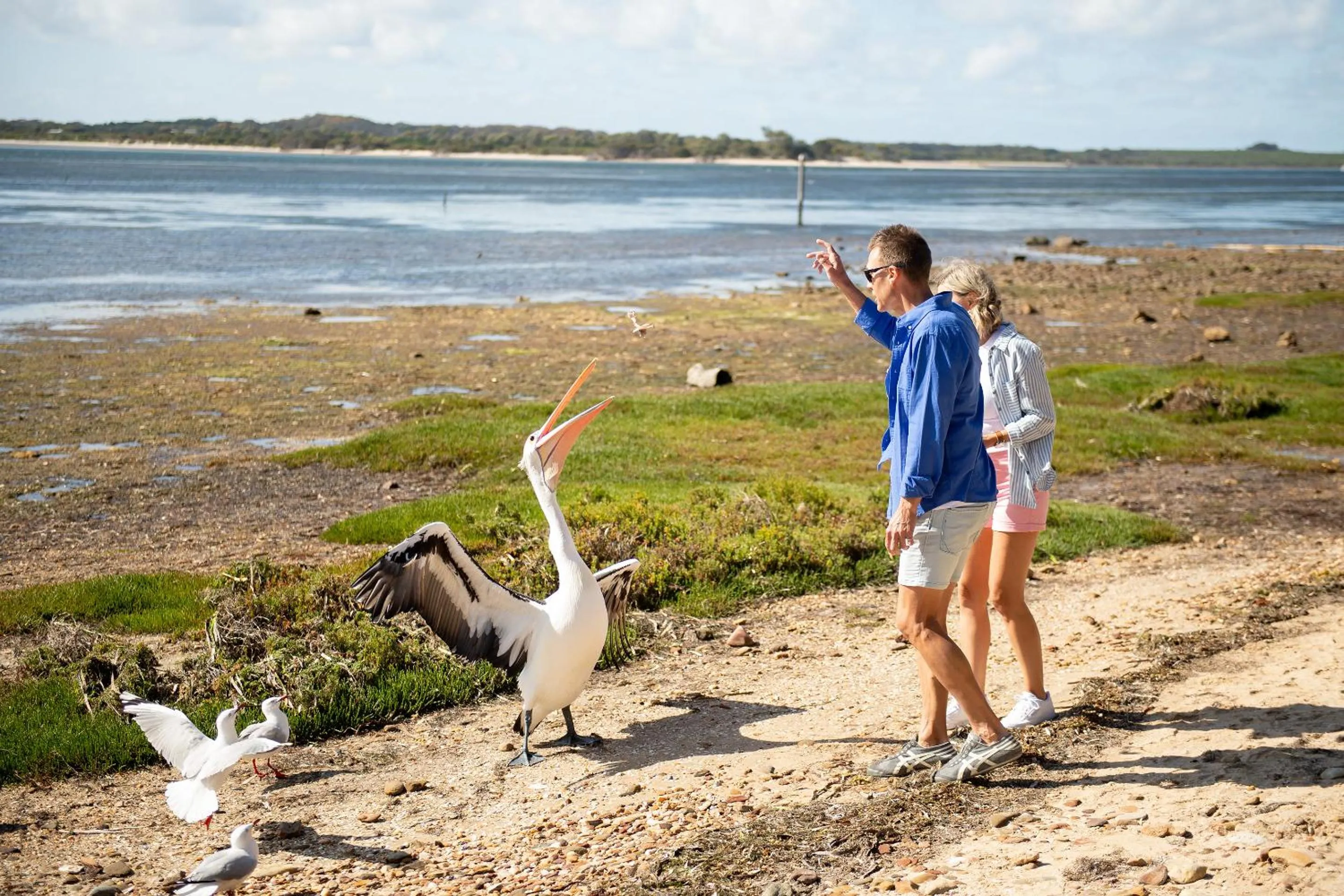 Activities in Mercure Kangaroo Island Lodge