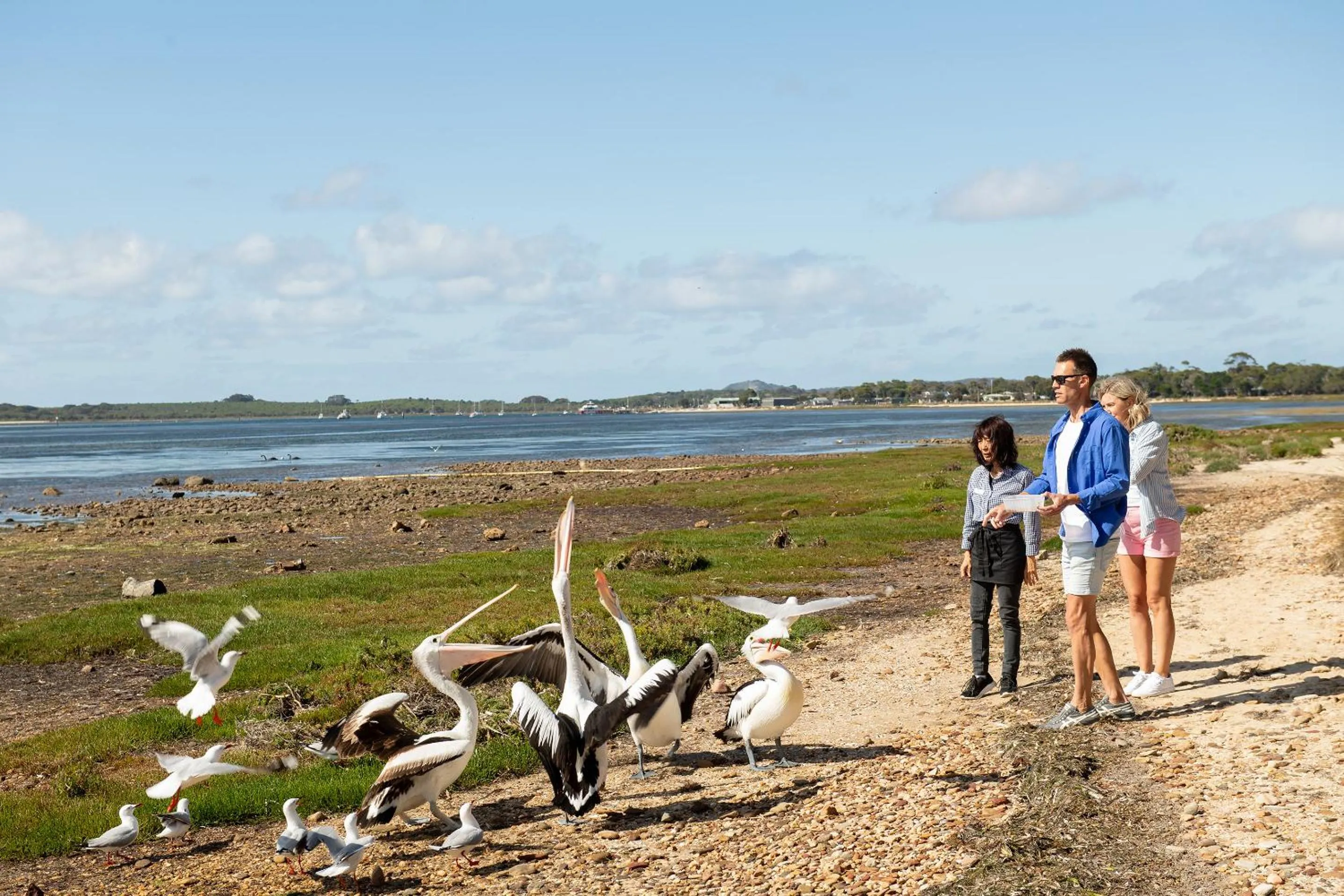 Activities in Mercure Kangaroo Island Lodge