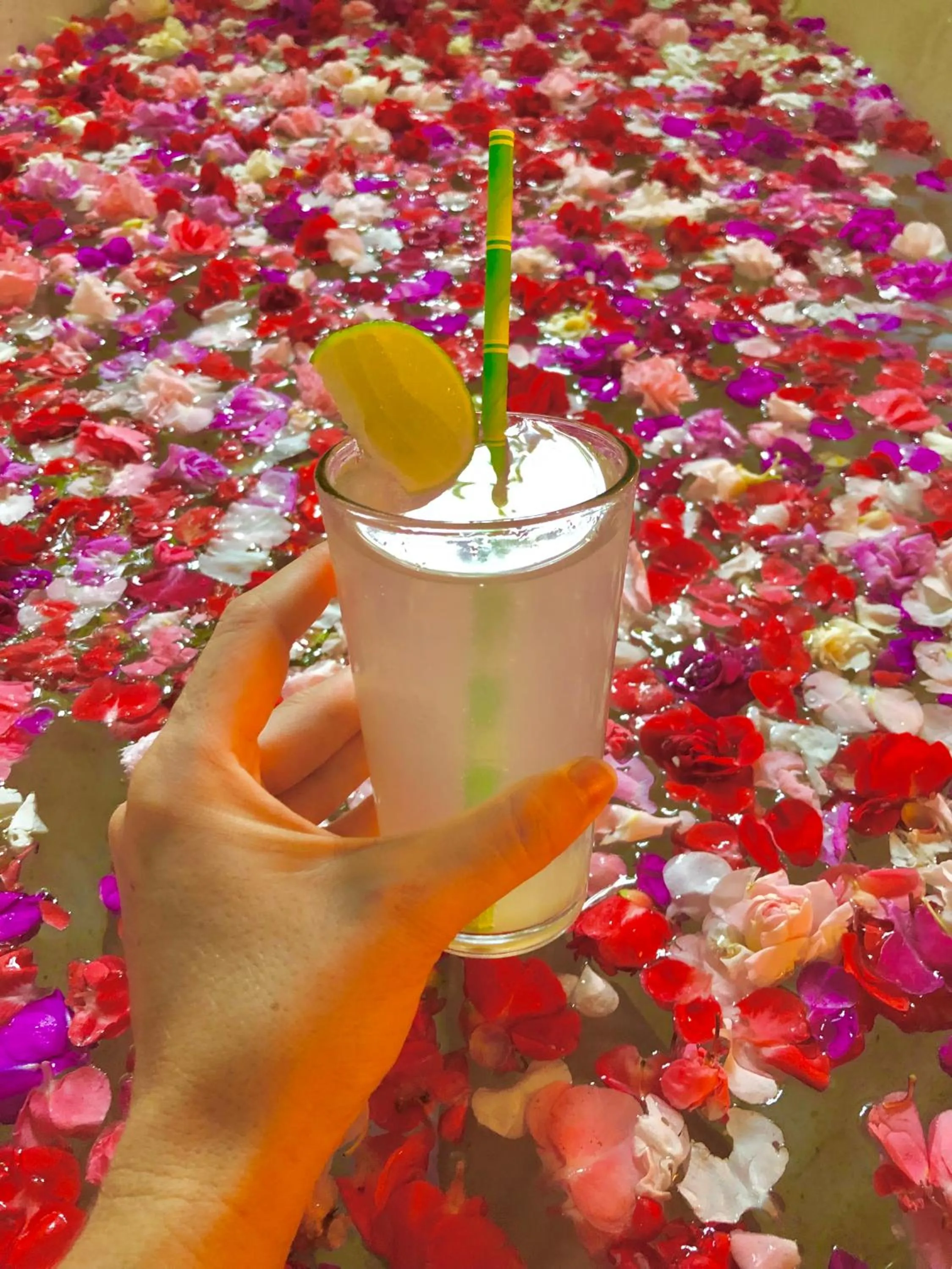 Drinks in Arco Iris Boutique Hotel & Restaurant