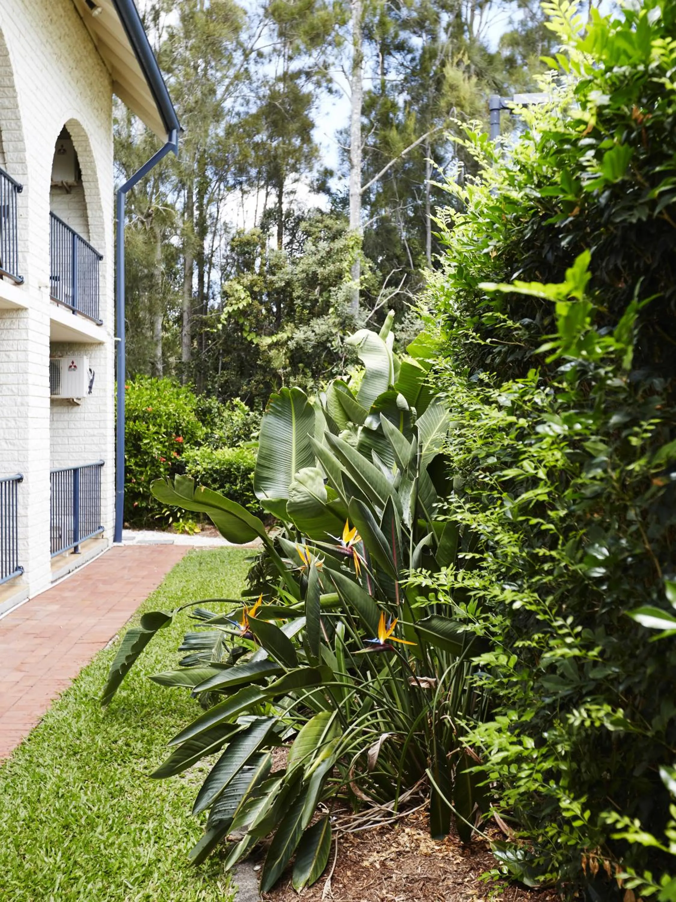 Garden view in Bay Beach Motel