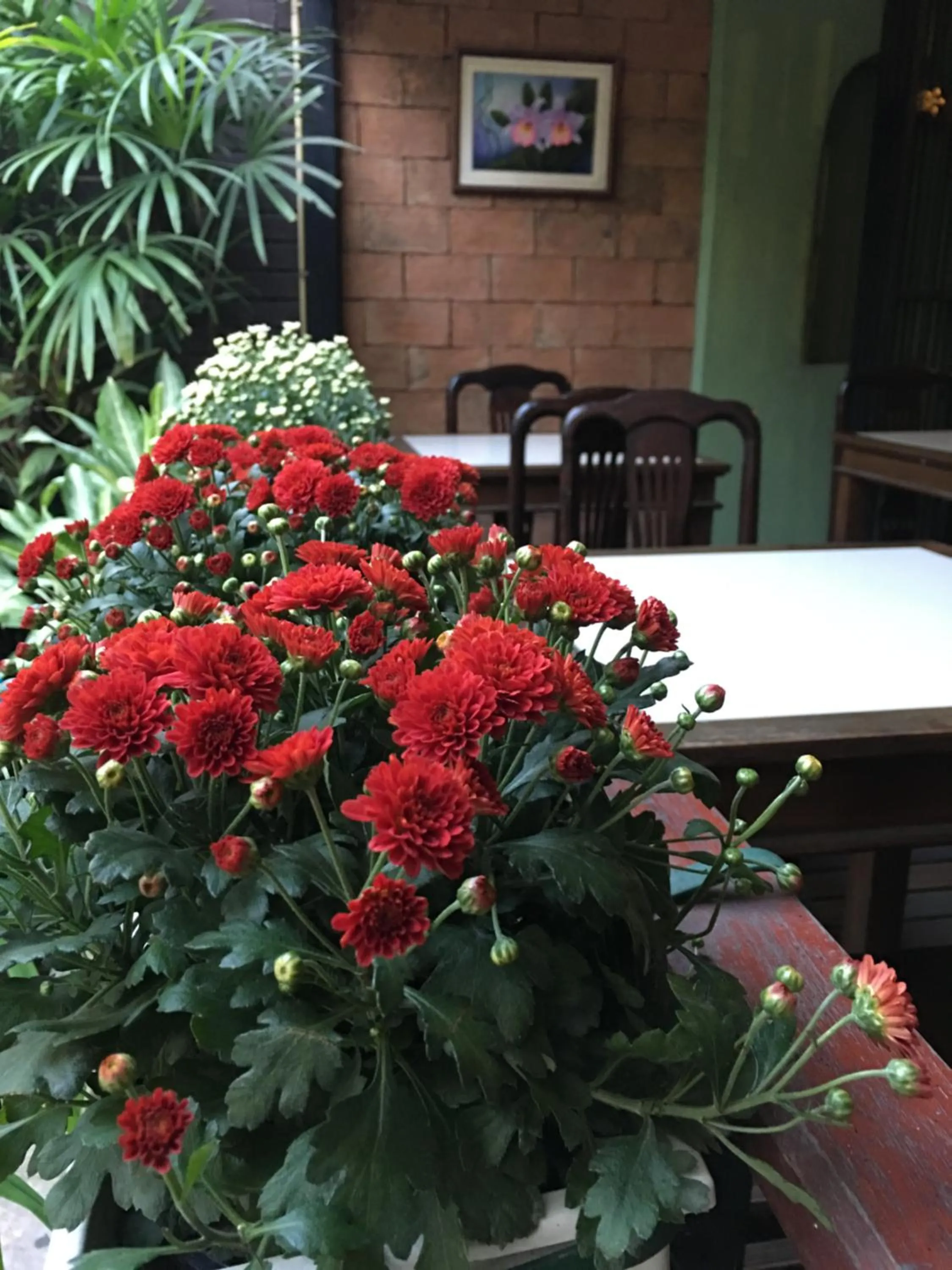 Garden in Baan Thalang @ Chiang Mai