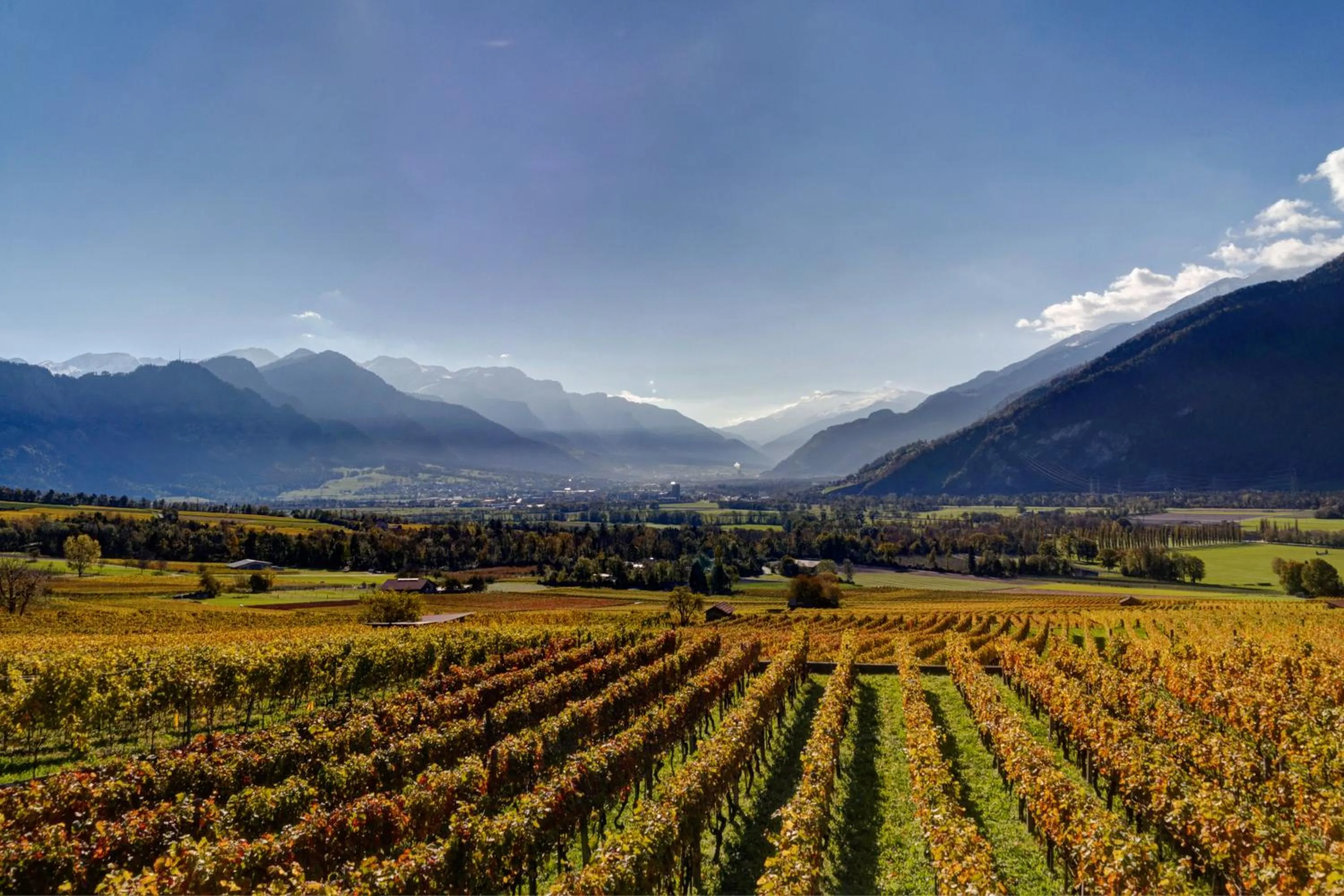 View (from property/room) in Gasthof zur Bündte