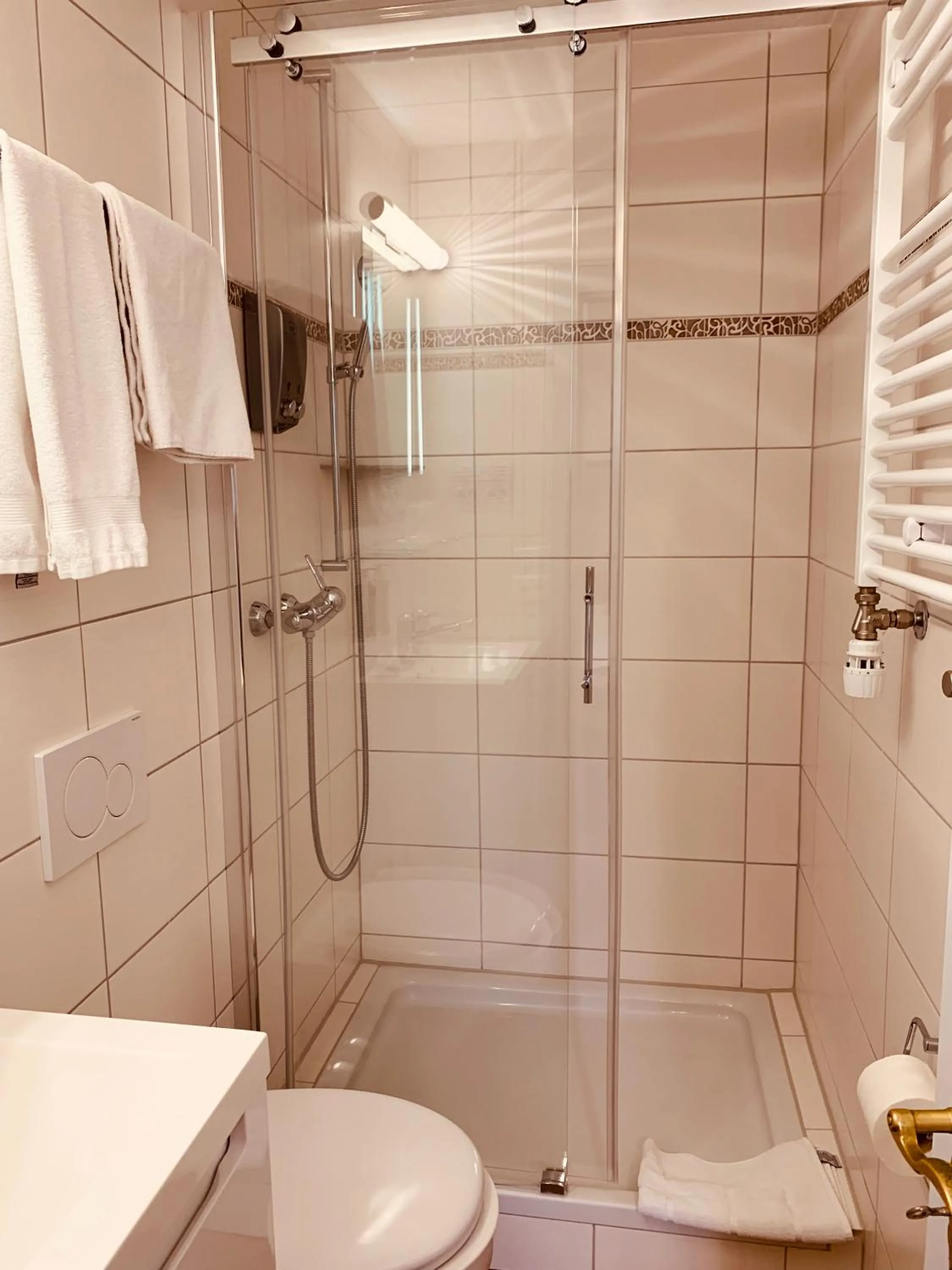 Shower in Gasthof zur Bündte