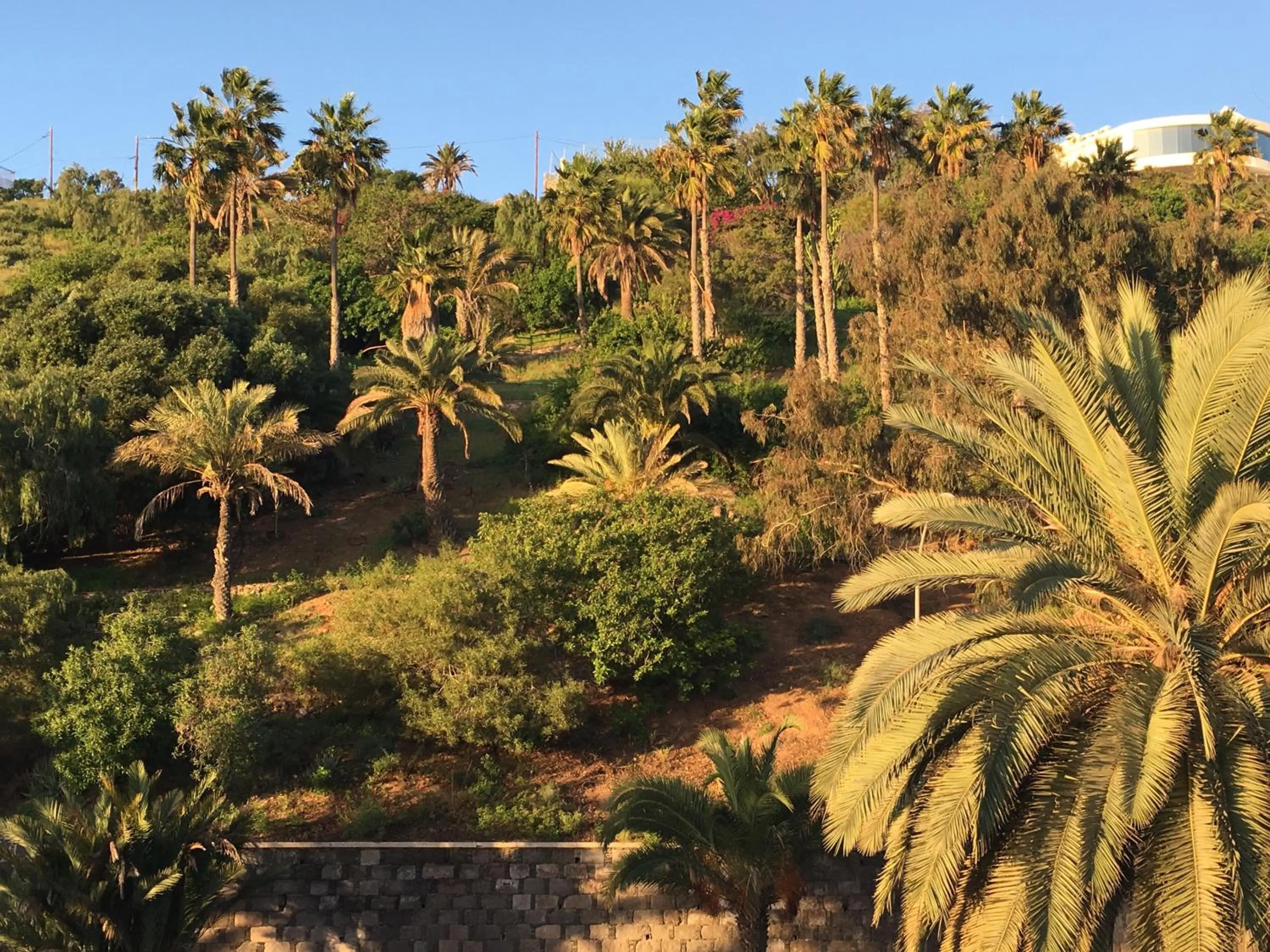Garden view in Casa Doramas VV