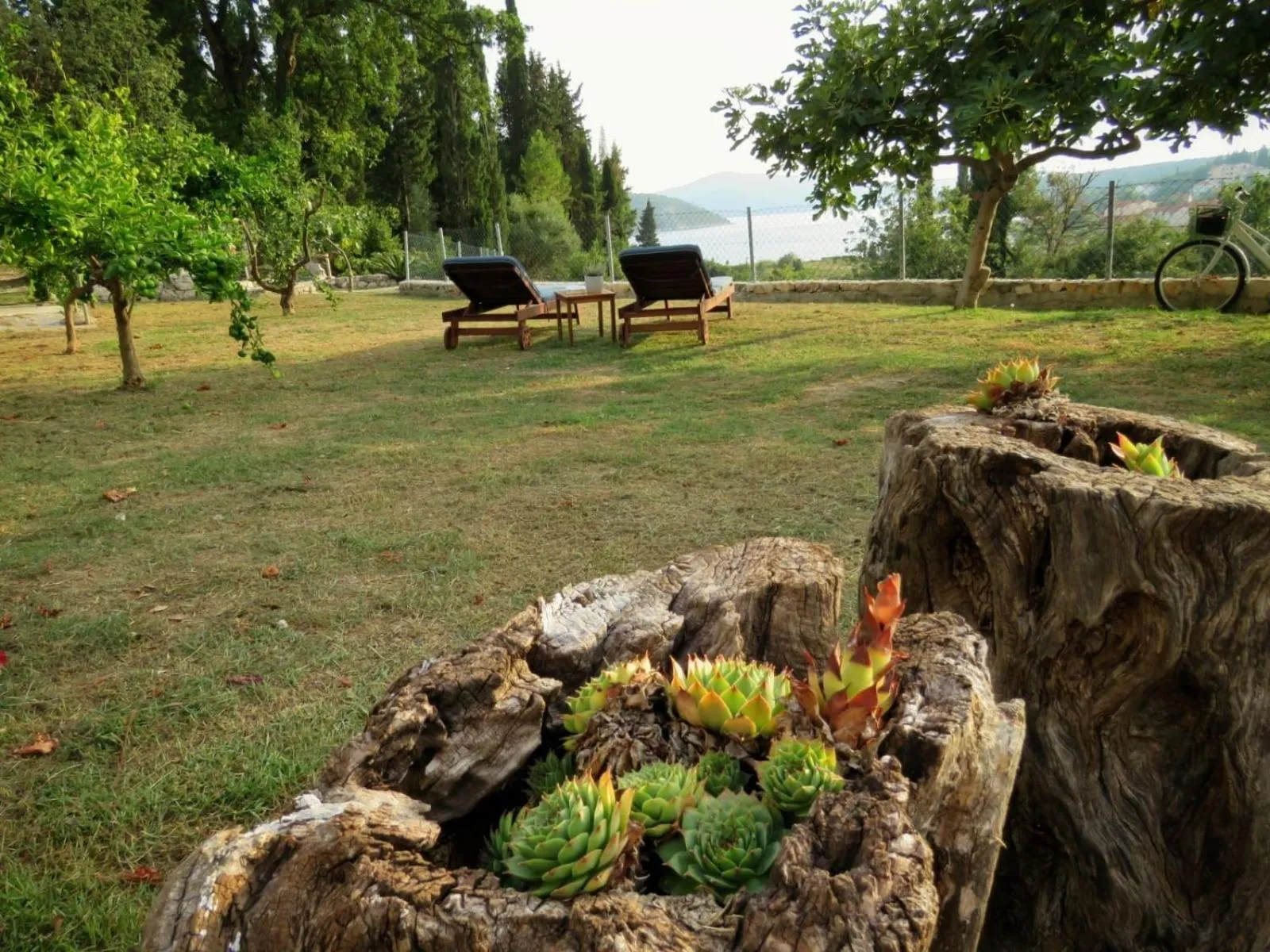 Vila Mozara