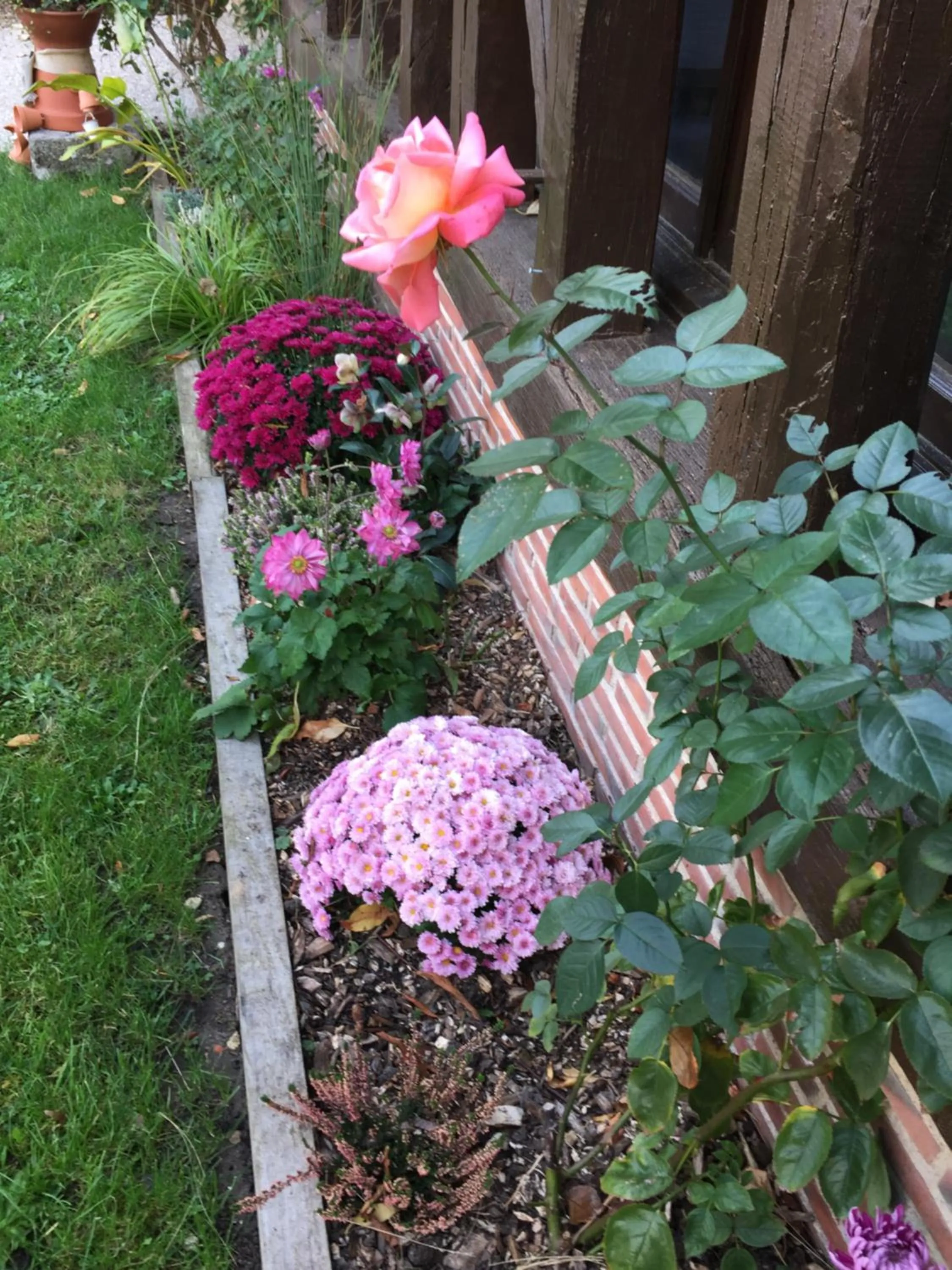 Natural landscape in Hotel de la Bonnheure