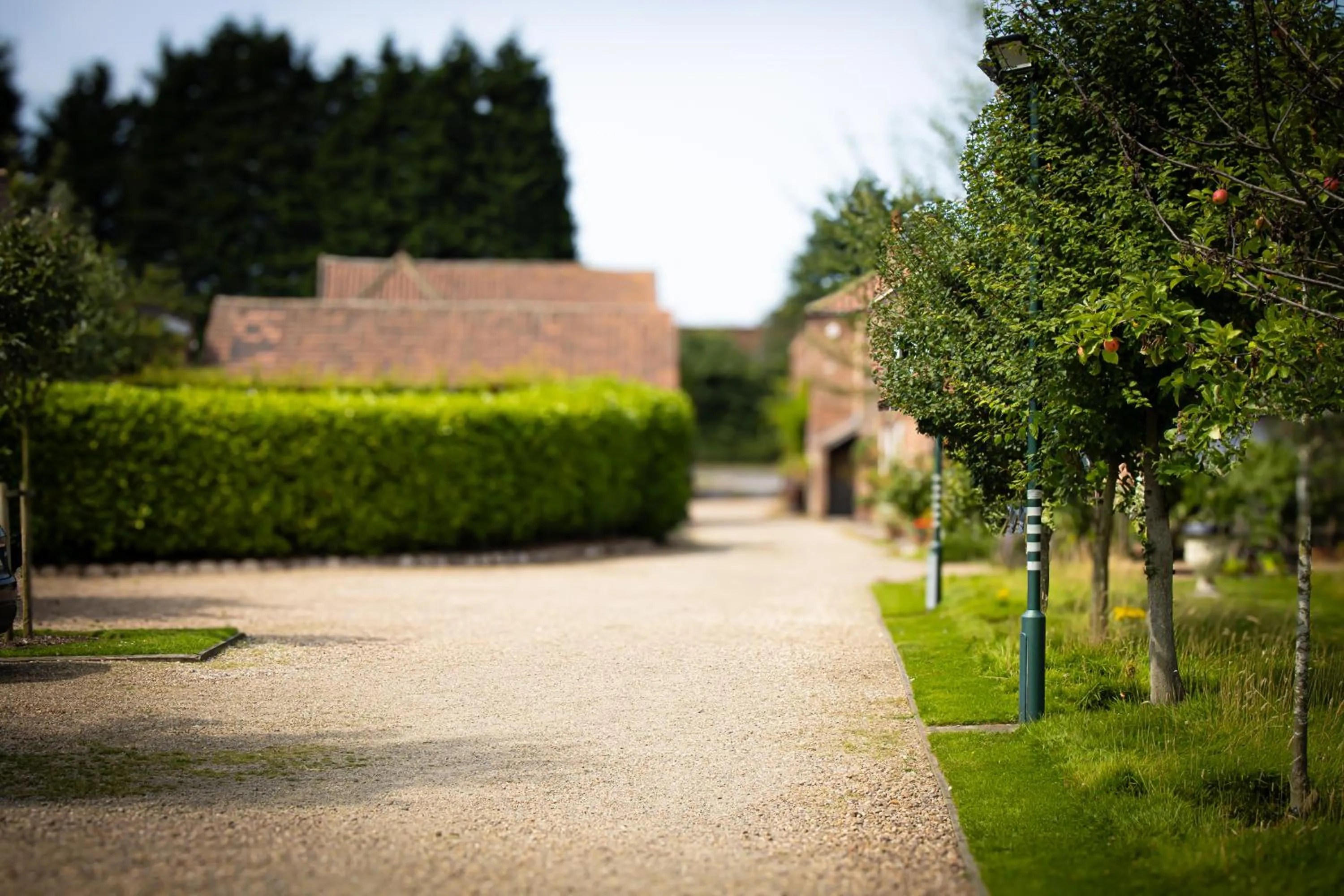 Garden in Home Farm & Lodge