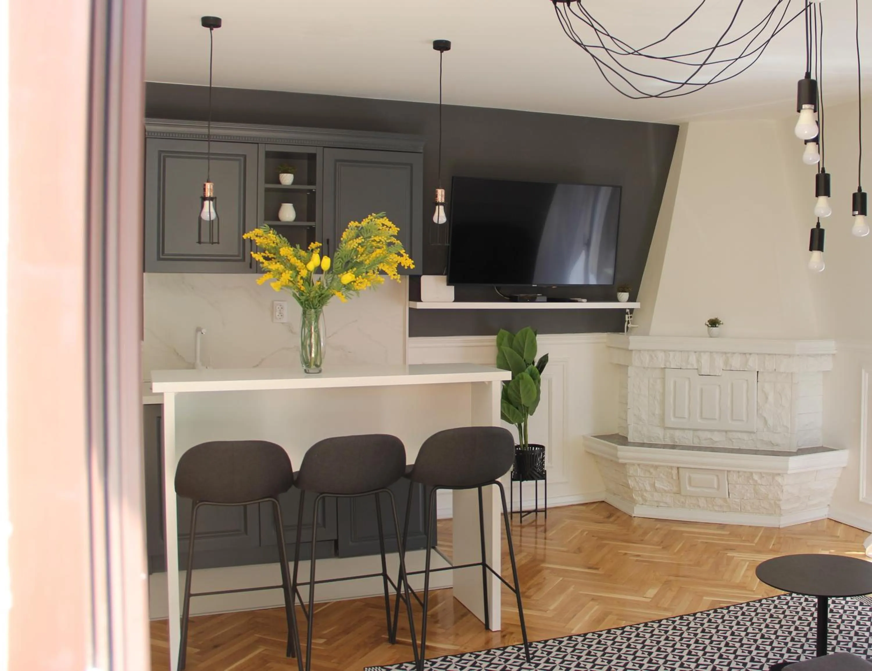 TV and multimedia in Apartments Marković