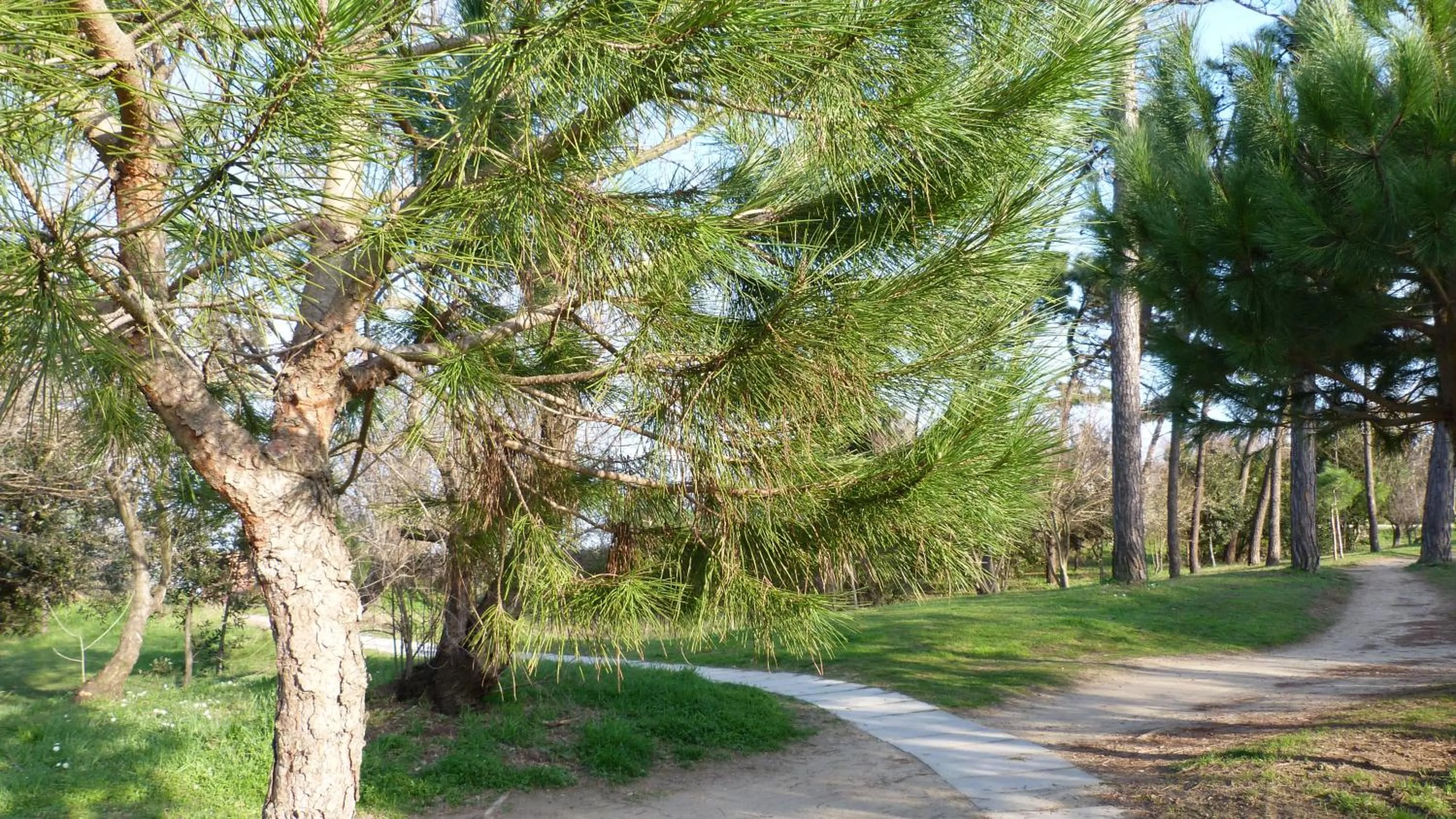 Nearby landmark in Club Vacanze In