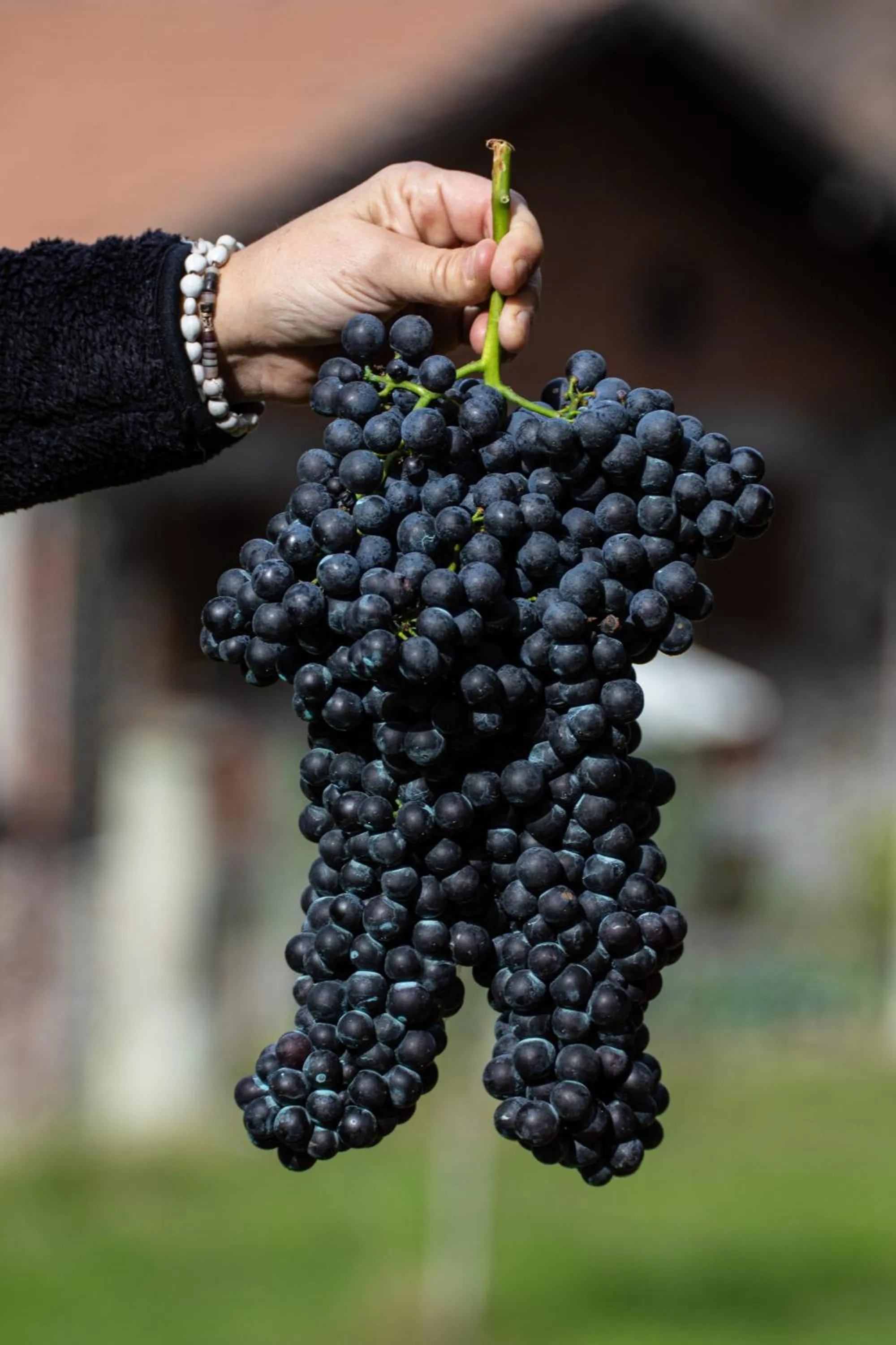 Garden in Relais del Brigante