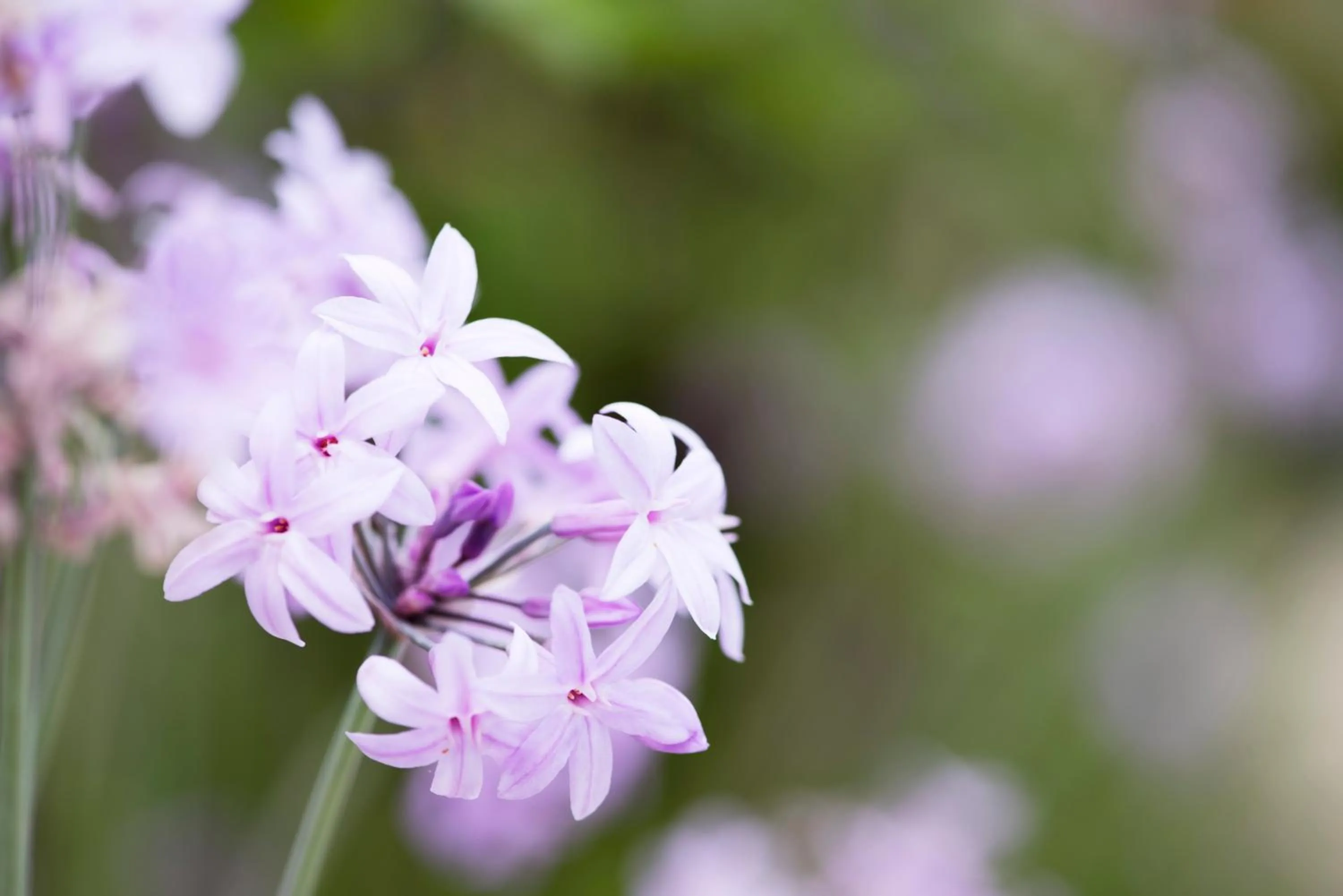 Other in Aquae Sinis Albergo Diffuso