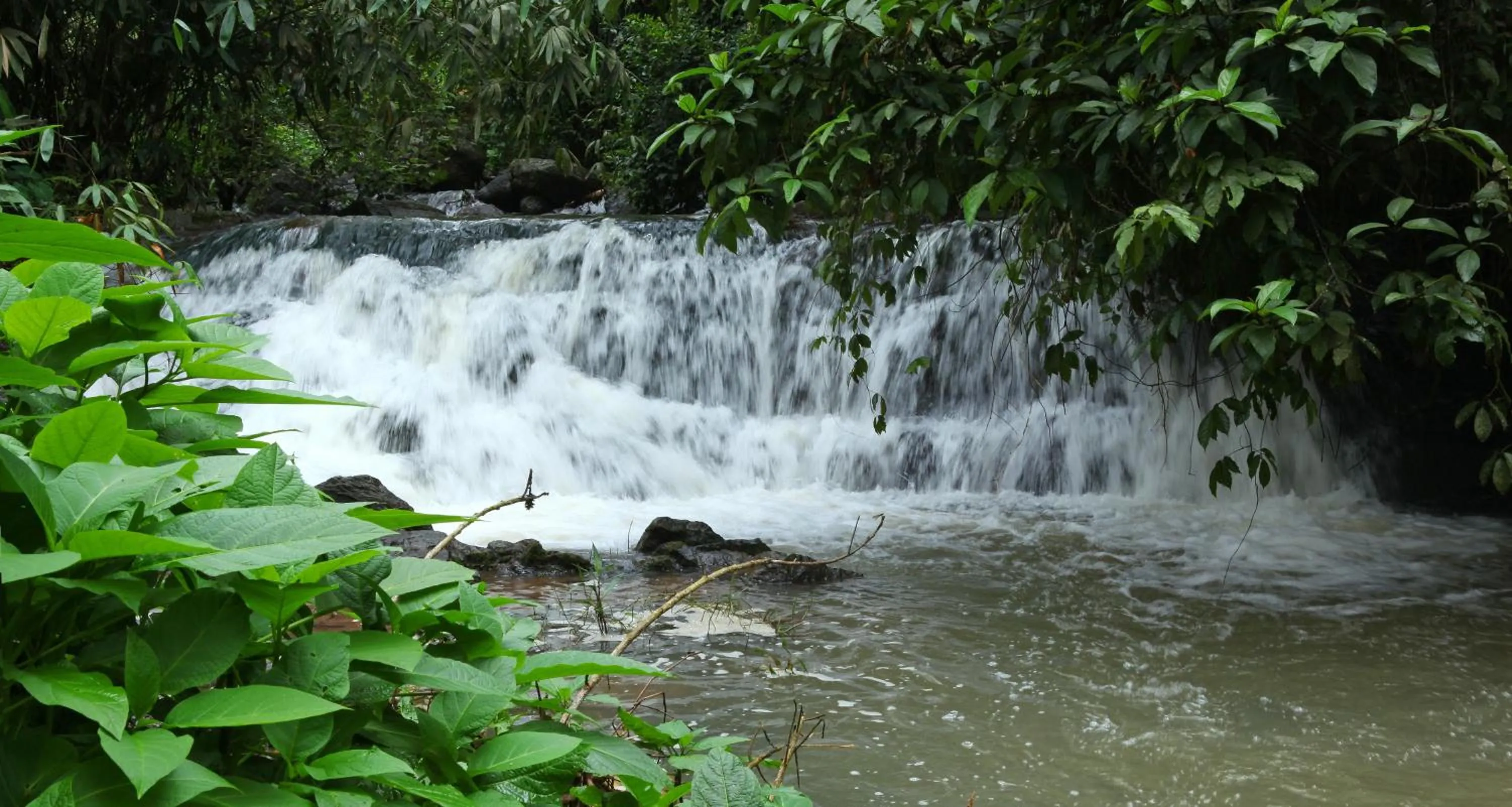 Area and facilities in Carmelia Haven Resort Thekkady