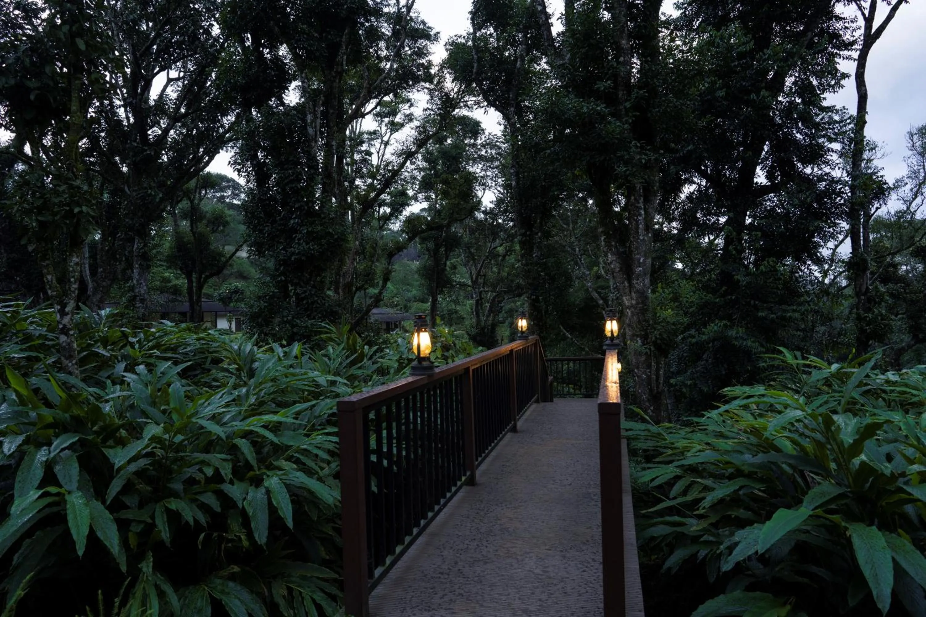 Natural landscape in Carmelia Haven Resort Thekkady
