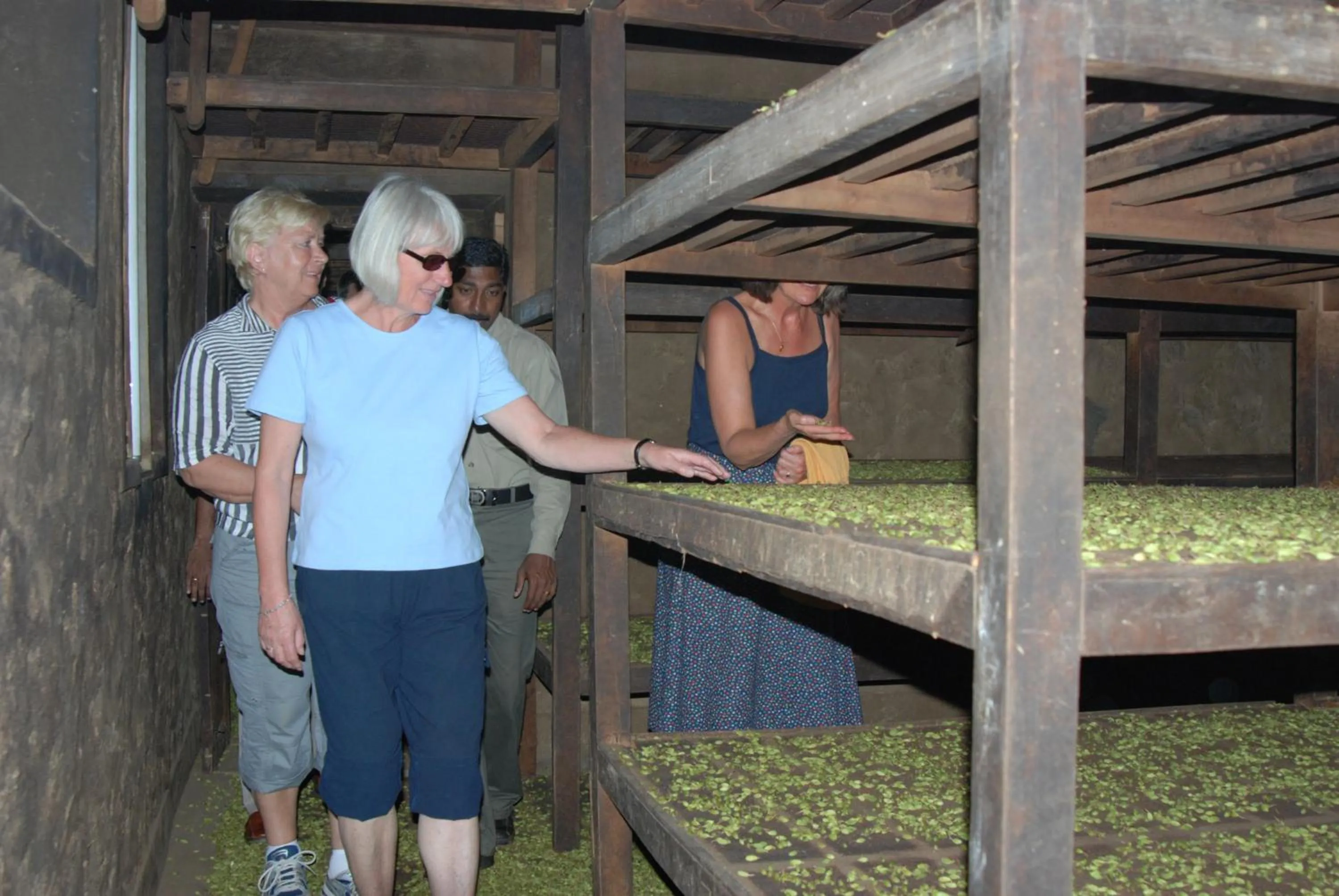 Area and facilities in Carmelia Haven Resort Thekkady