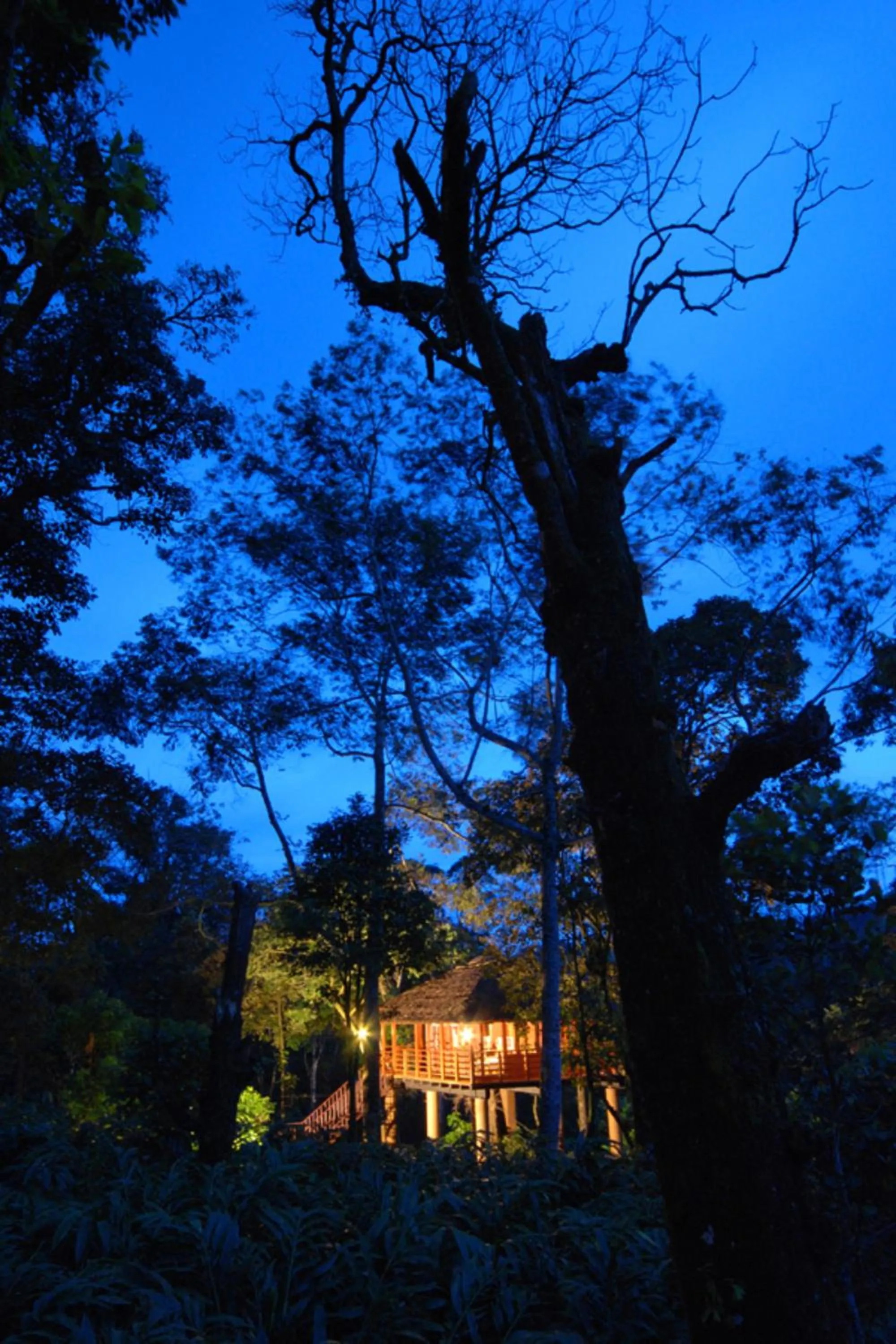 Other in Carmelia Haven Resort Thekkady