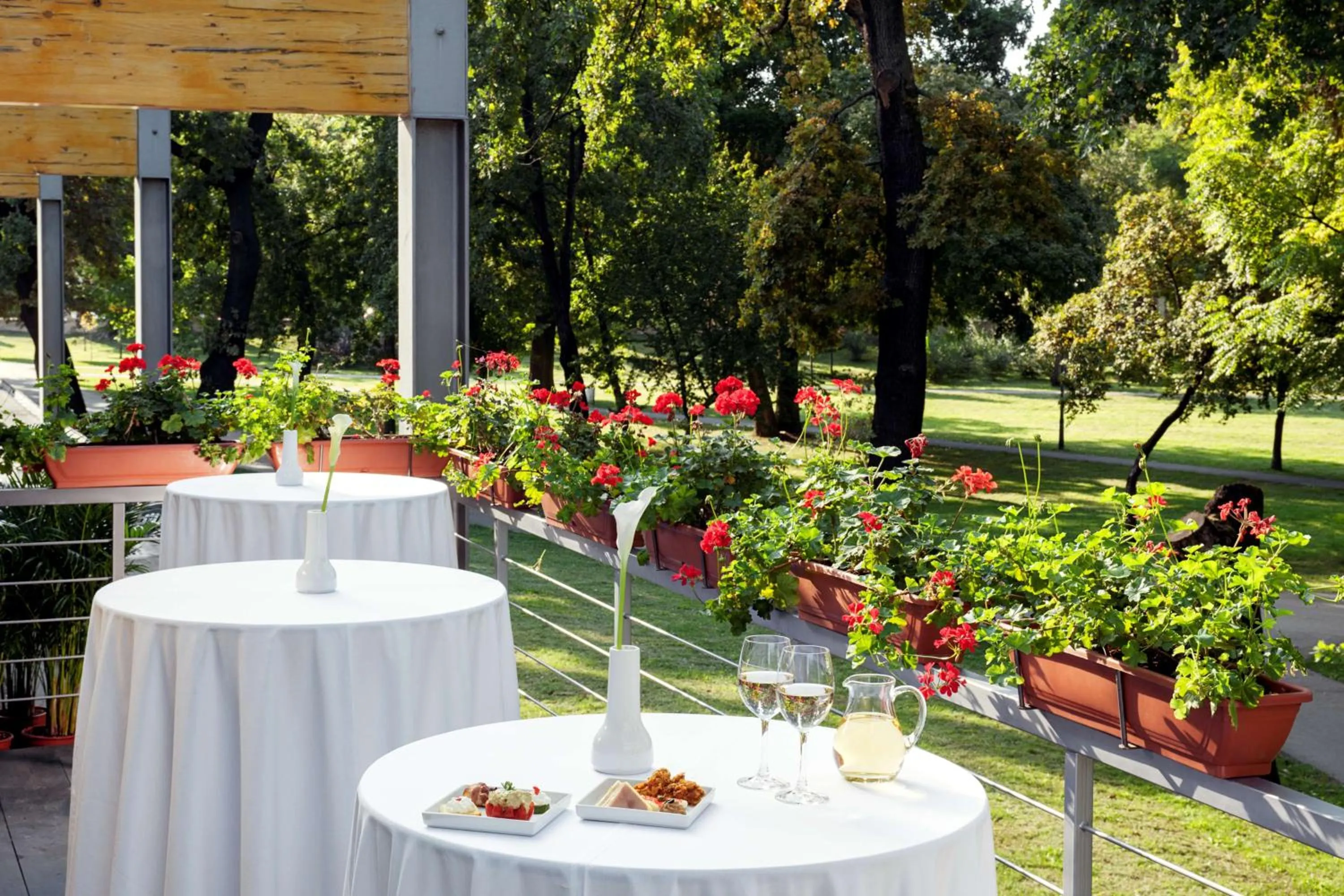 Patio in NH Timisoara